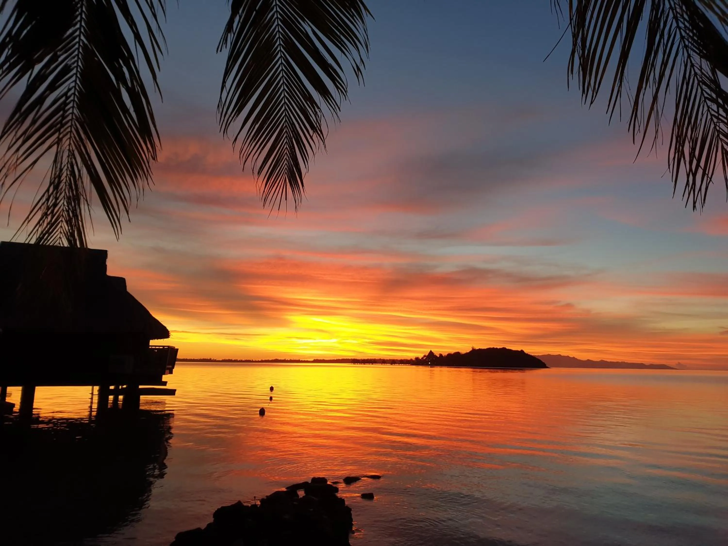 Natural landscape in Maitai Bora Bora