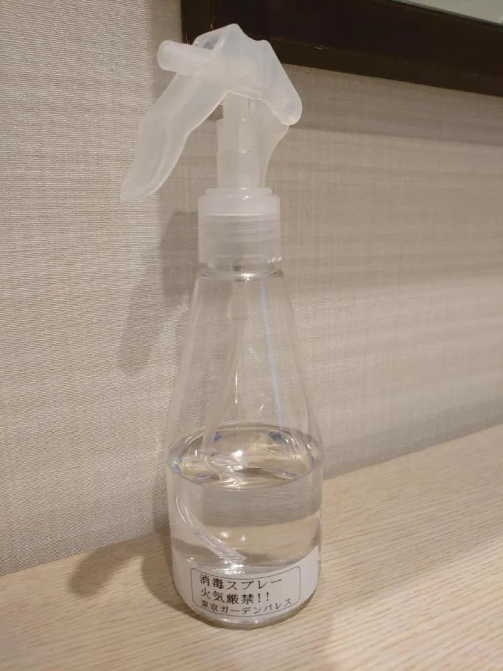 Photo of the whole room in Hotel Tokyo Garden Palace