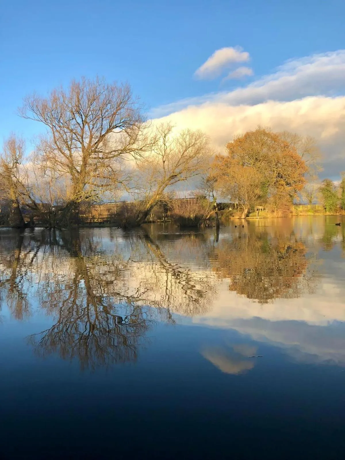 Natural landscape in Morndyke Shepherds Huts