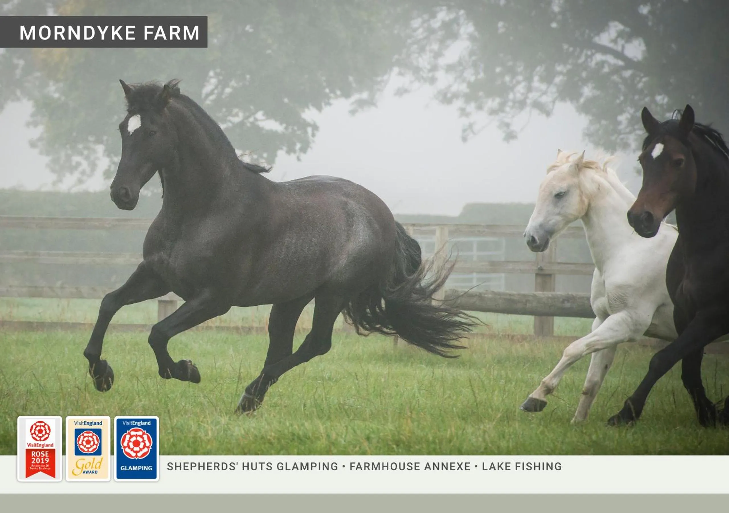 Animals in Morndyke Shepherds Huts