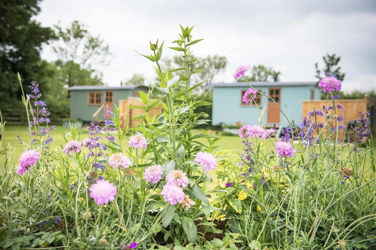 Property building in Morndyke Shepherds Huts