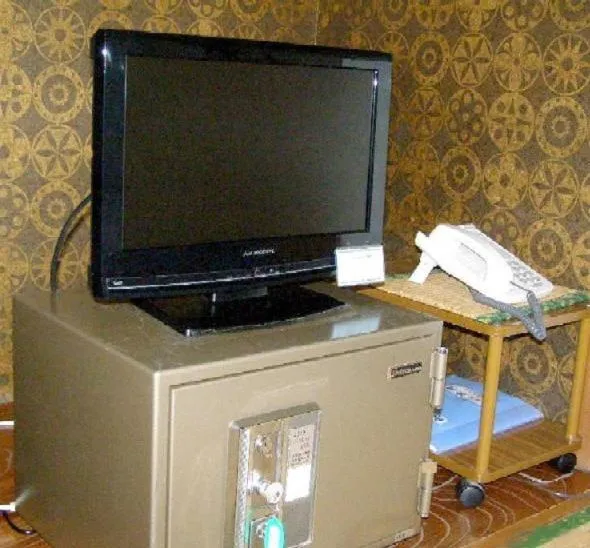 TV and multimedia in Hotel Masyu