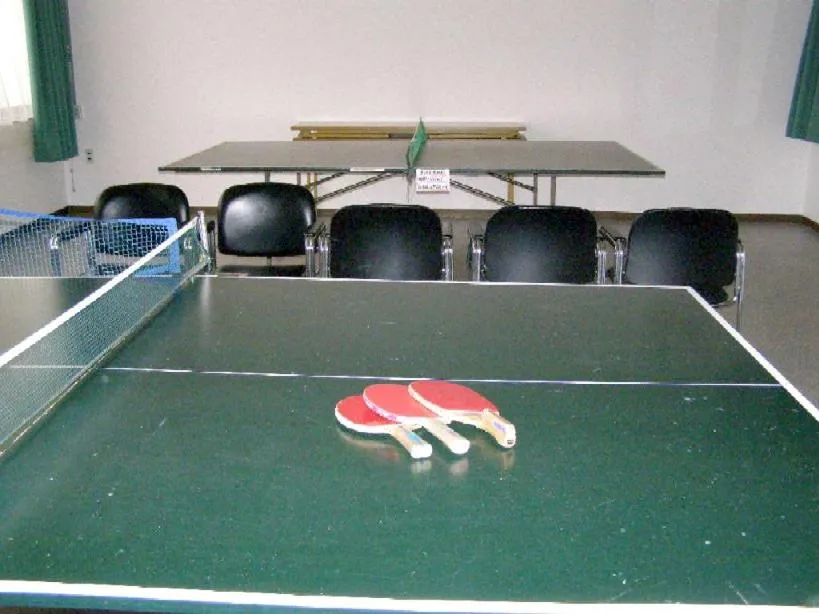 Table tennis in Hotel Masyu