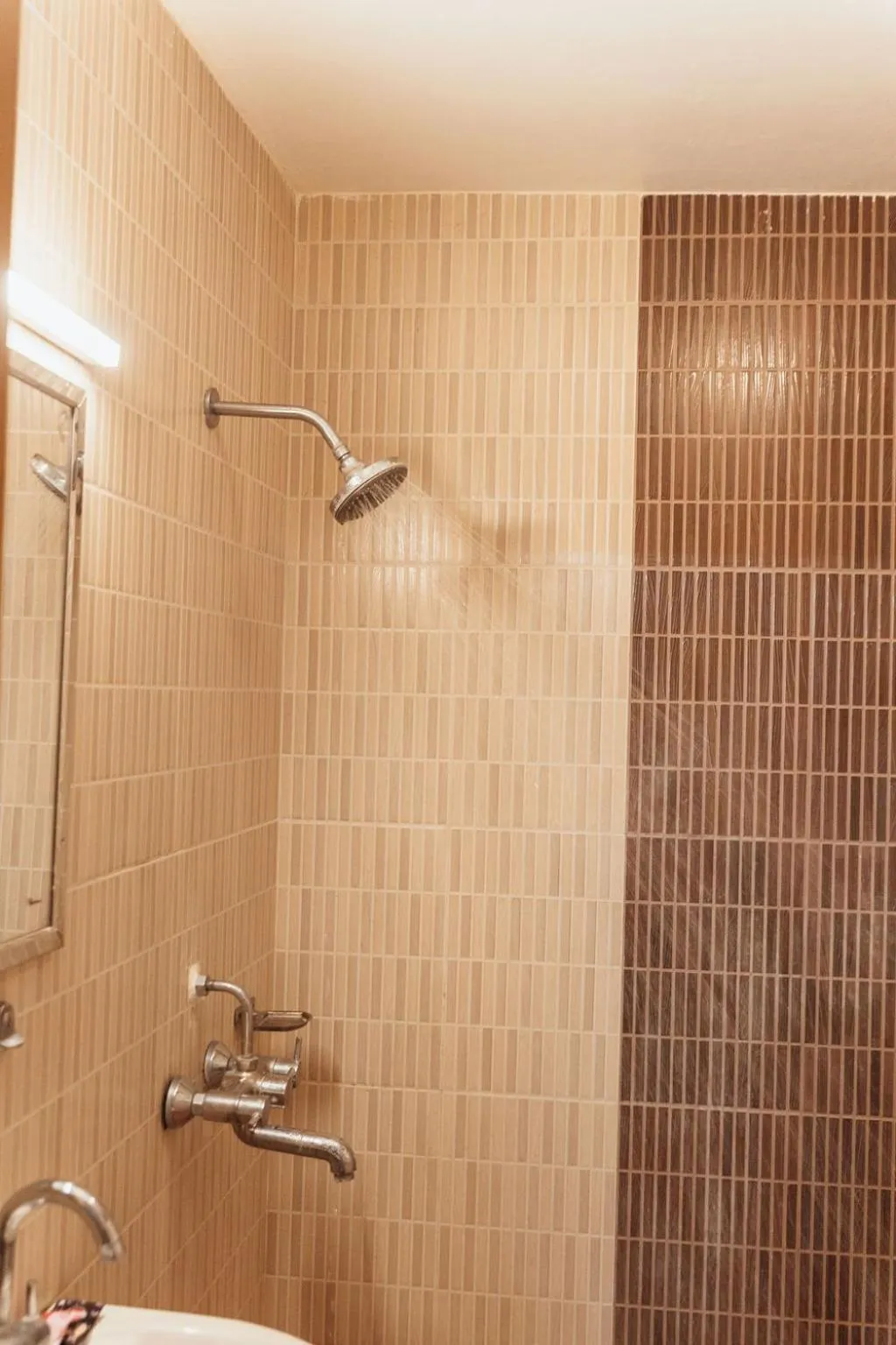 Jungle Safari Lodge- Serenity in the Wild