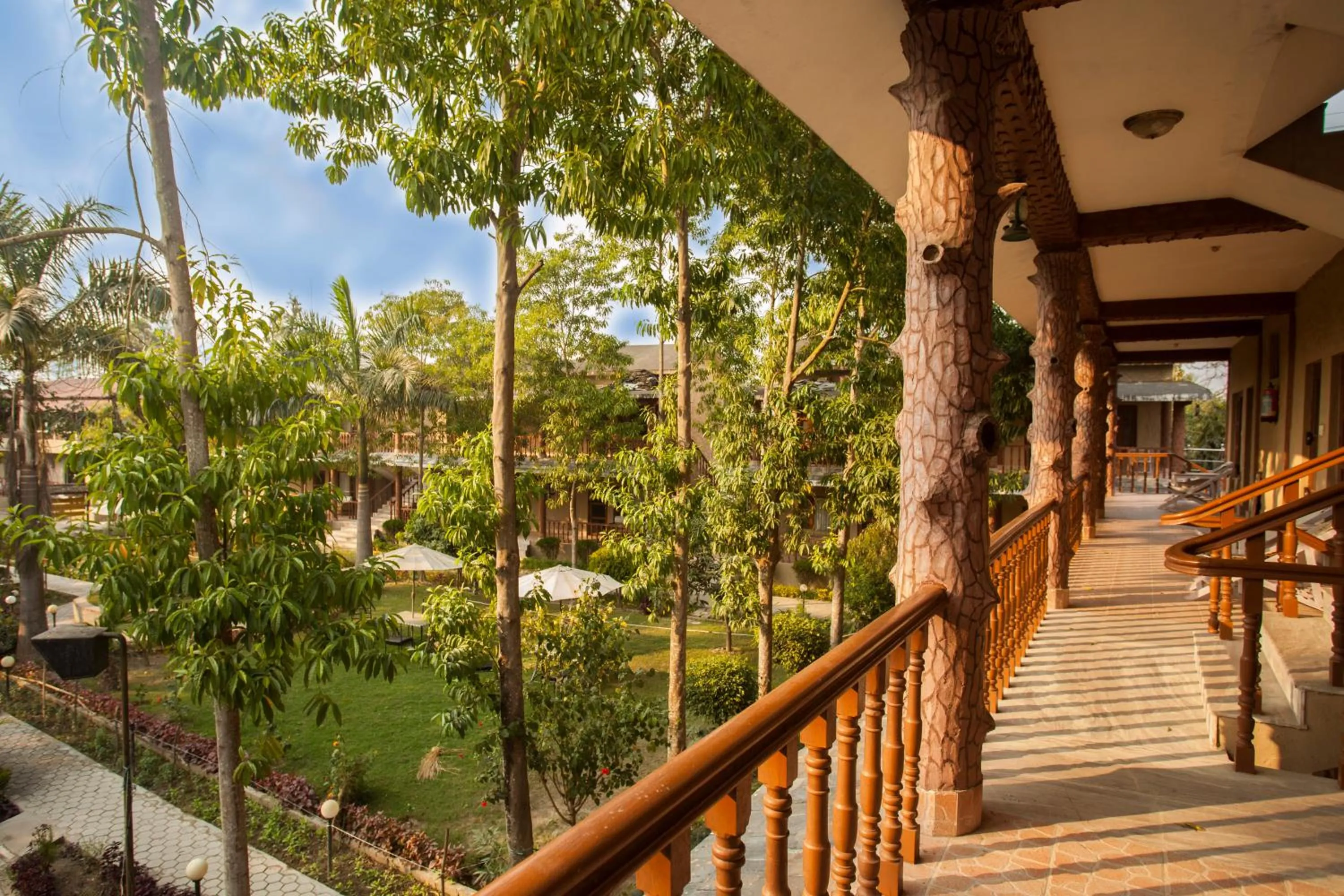 Garden in Jungle Safari Lodge- Serenity in the Wild