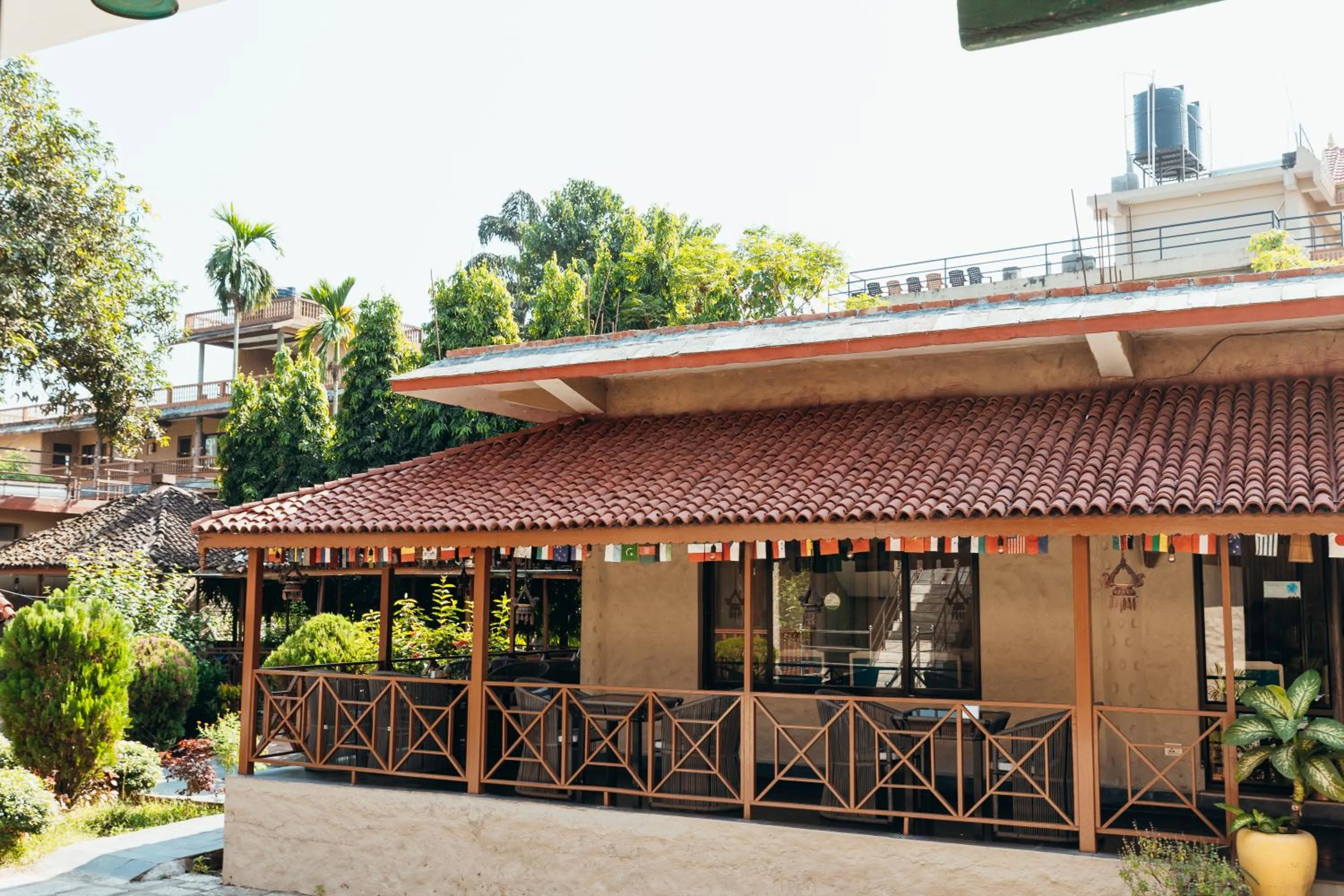 Jungle Safari Lodge- Serenity in the Wild