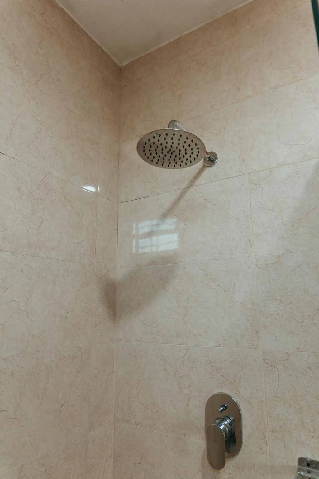 Jungle Safari Lodge- Serenity in the Wild