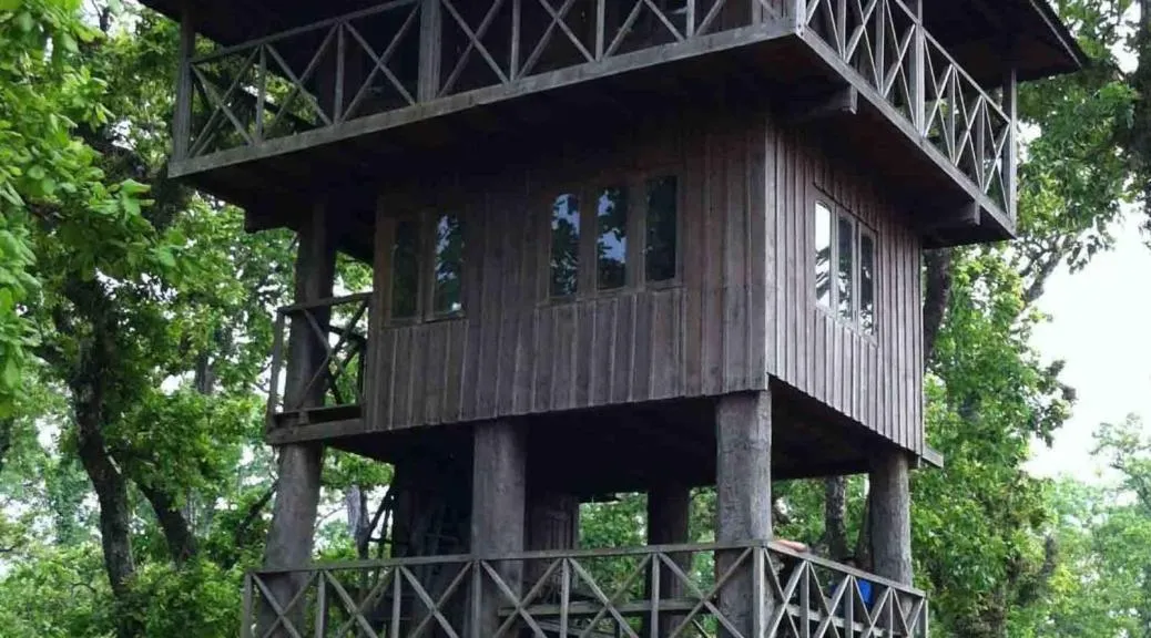 Jungle Safari Lodge- Serenity in the Wild