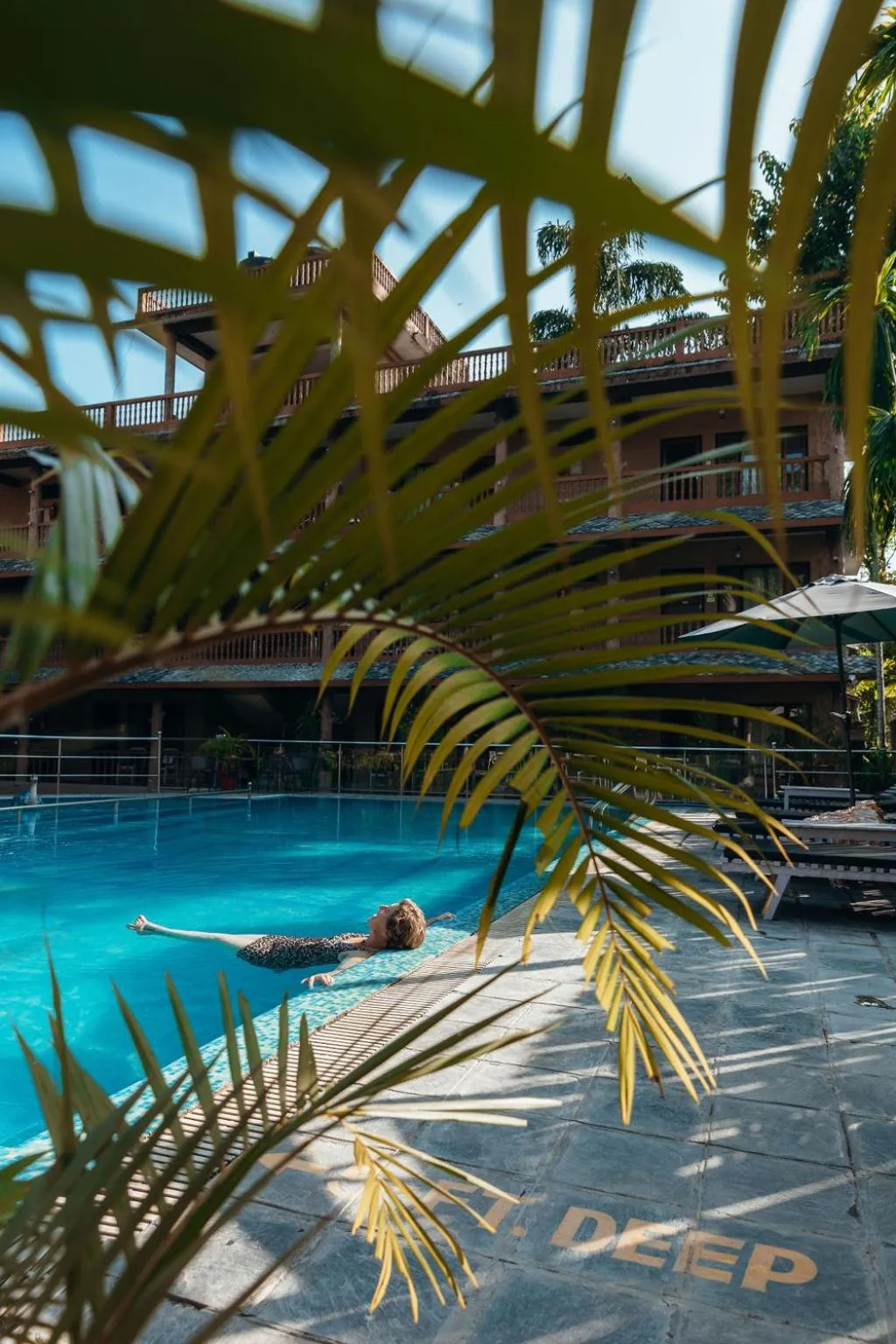 Jungle Safari Lodge- Serenity in the Wild