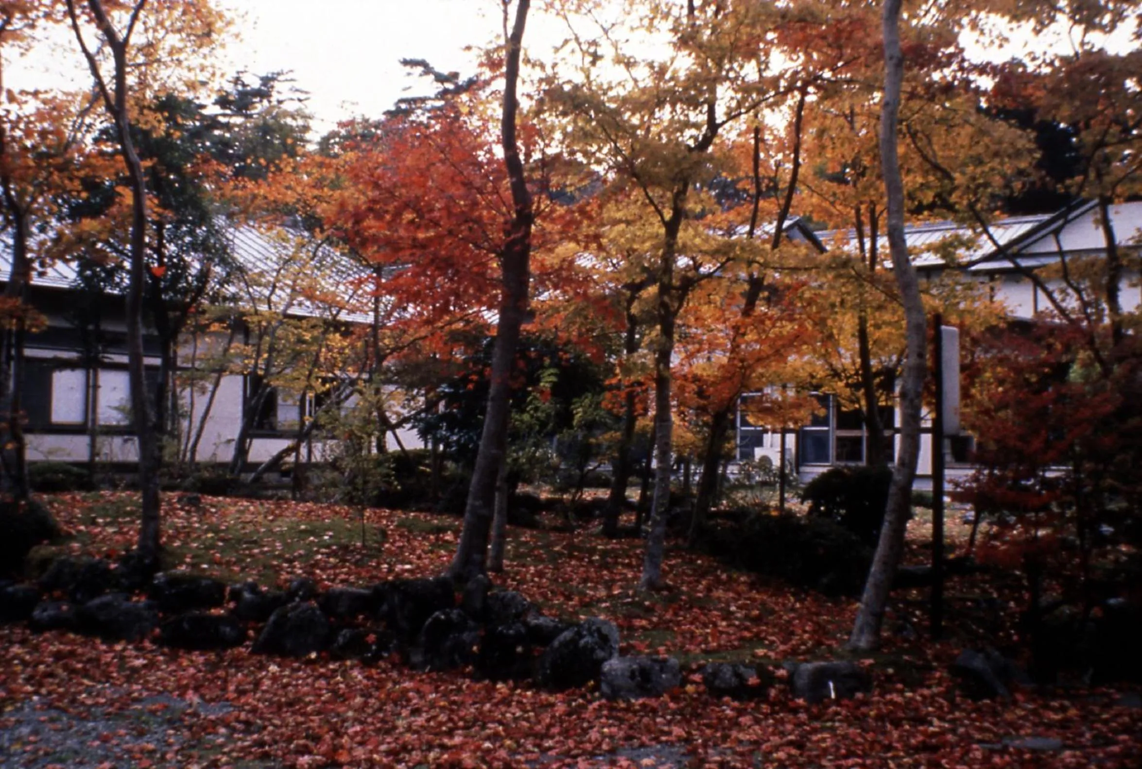 Property building in Nikko Tokanso