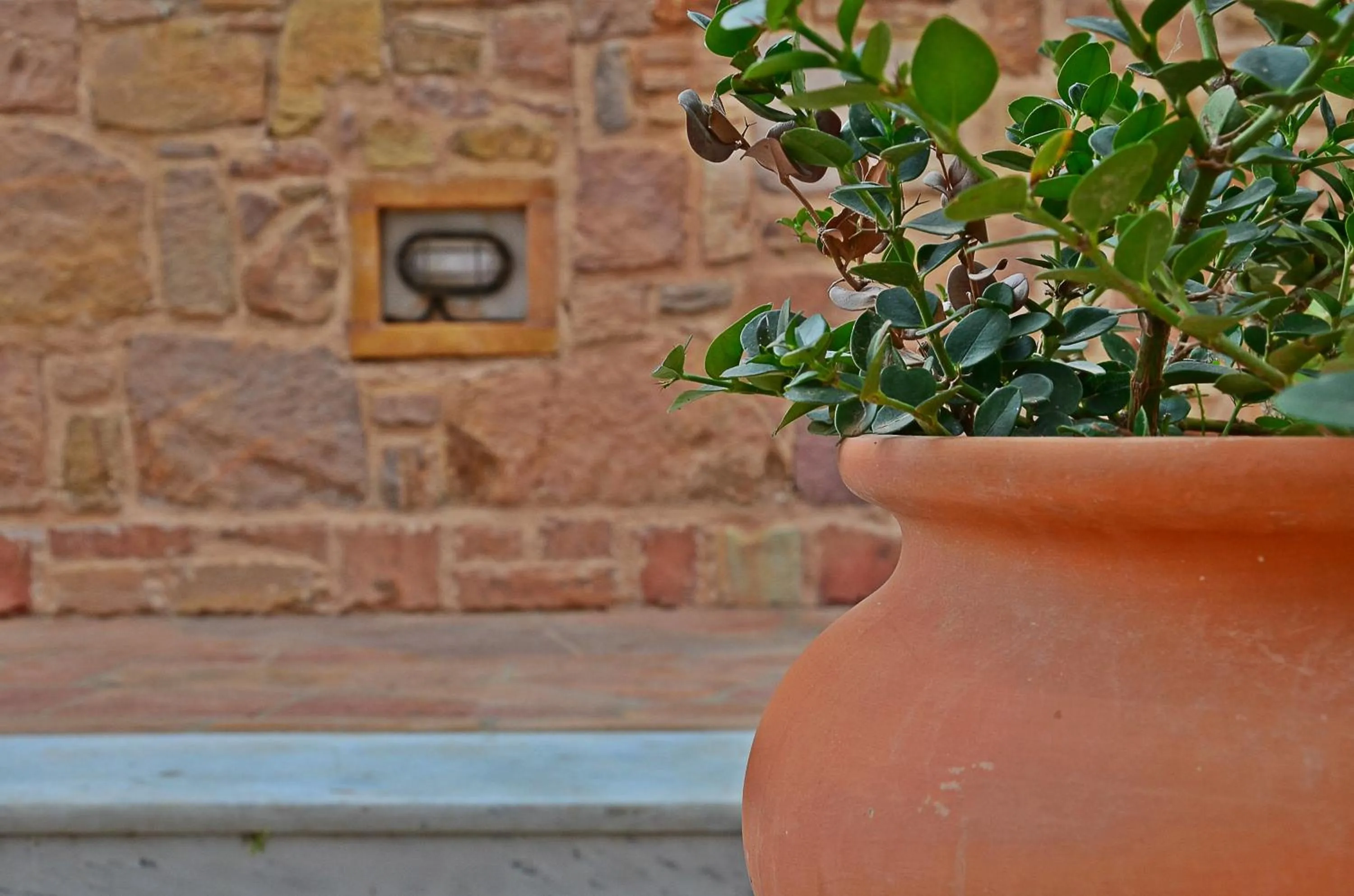 Day in Mastiha Villas in Town