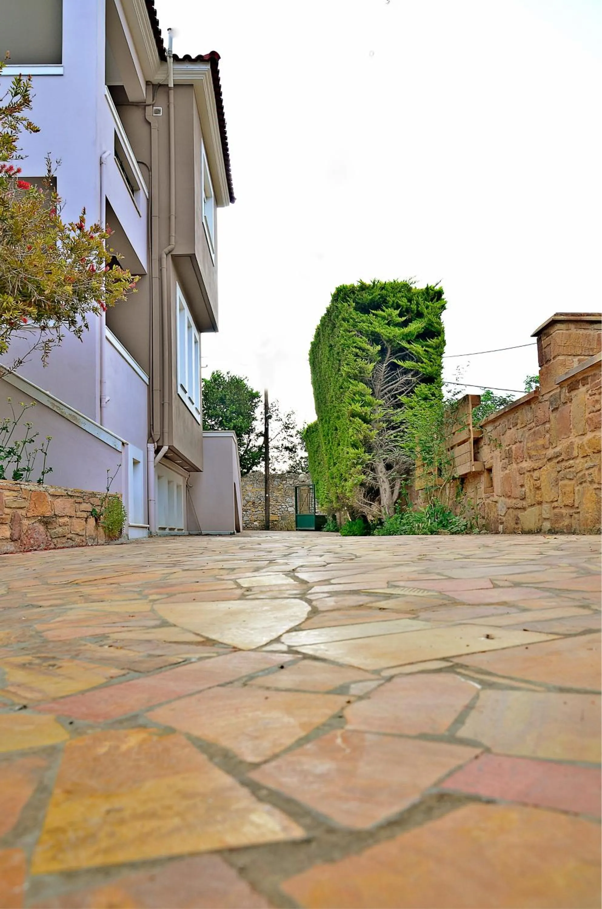 Day in Mastiha Villas in Town