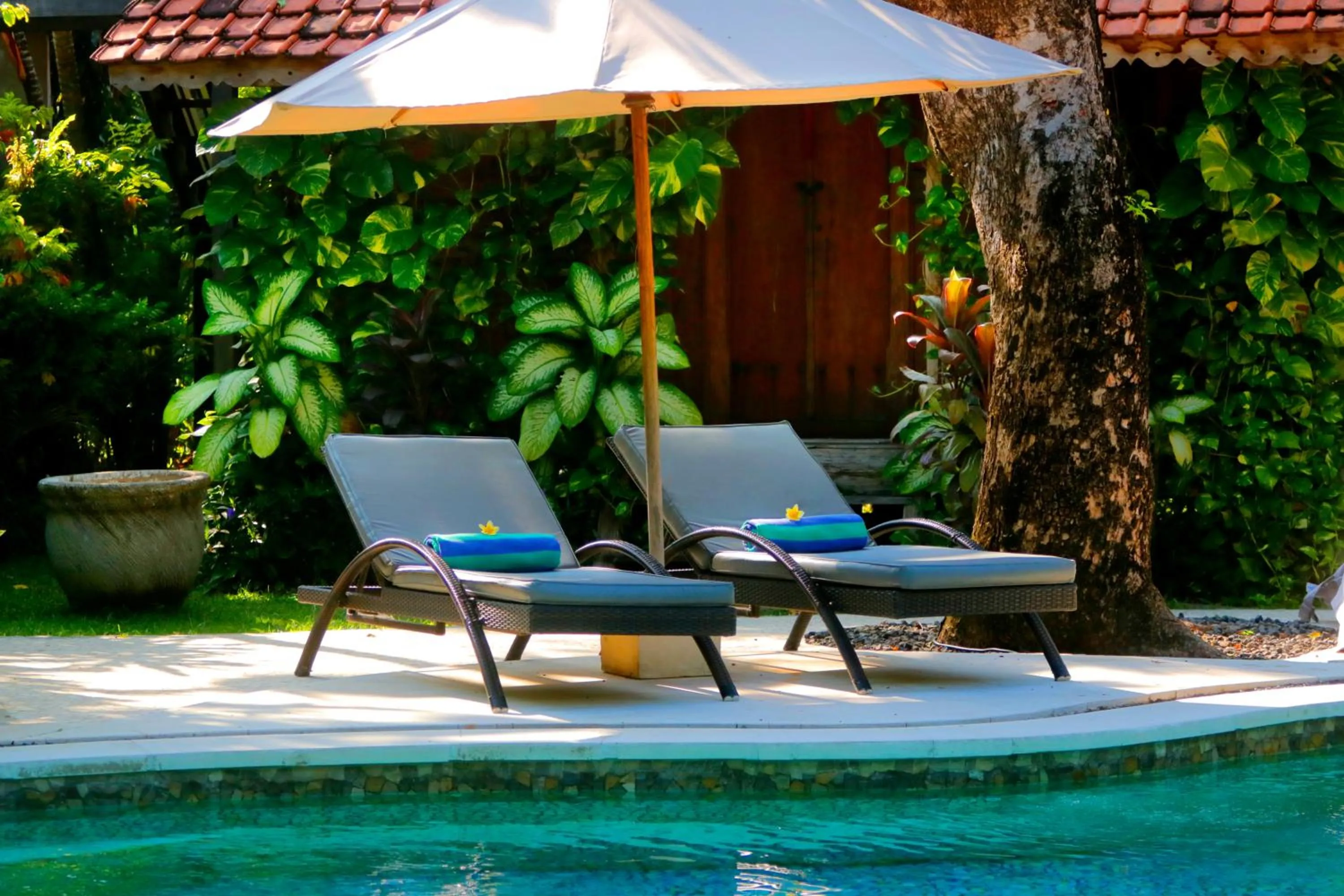 Swimming pool in Pearl Boutique Hotel Adult only