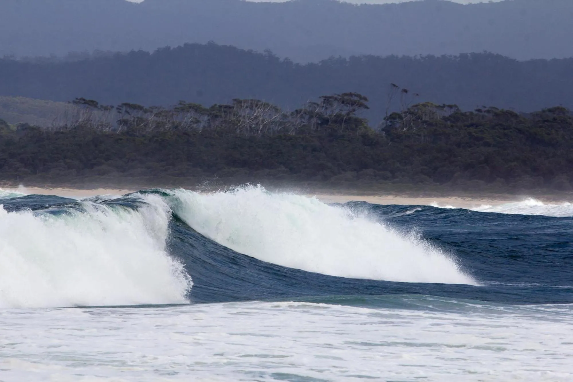 Beach in Sails Luxury Apartments Merimbula