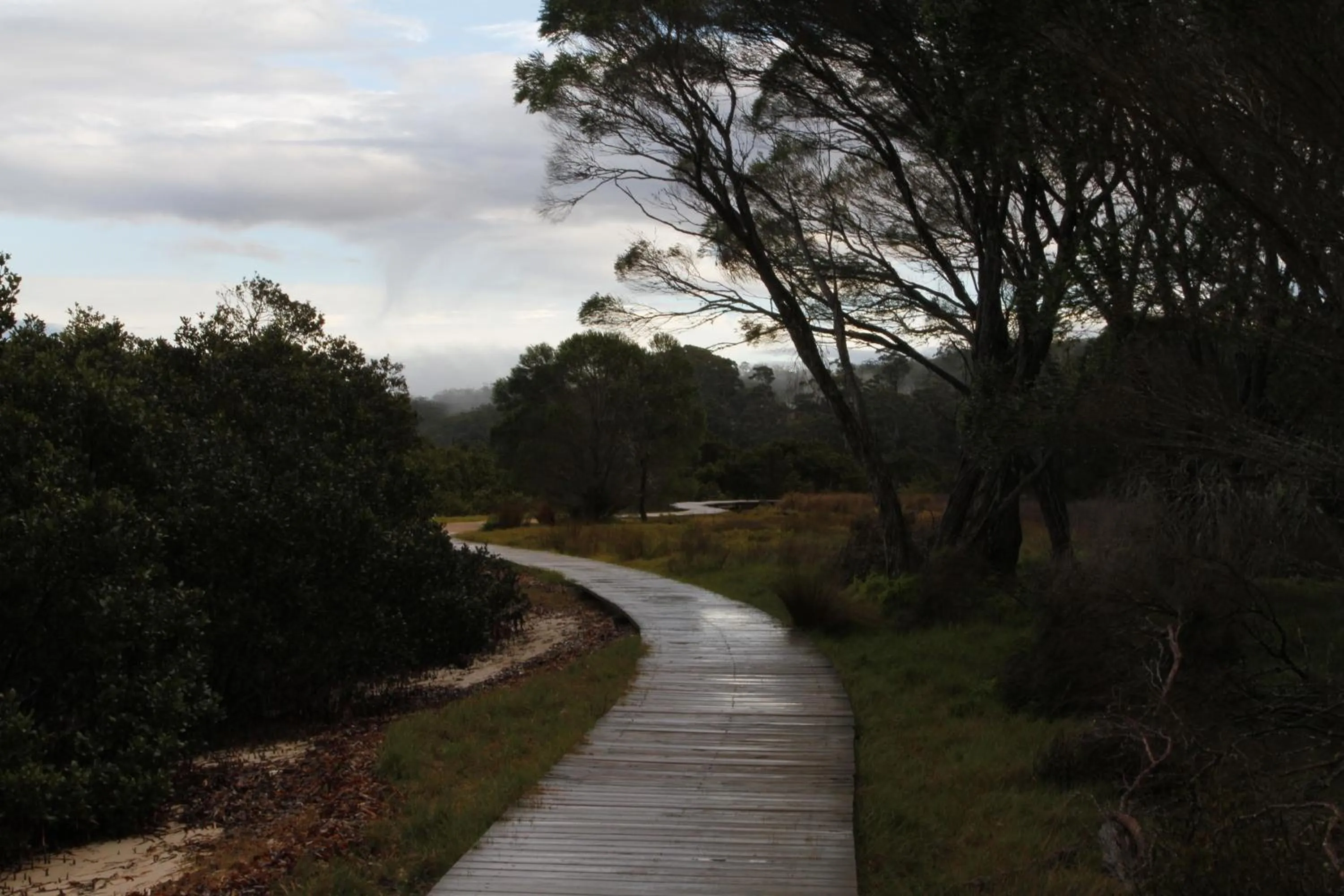 Area and facilities in Sails Luxury Apartments Merimbula