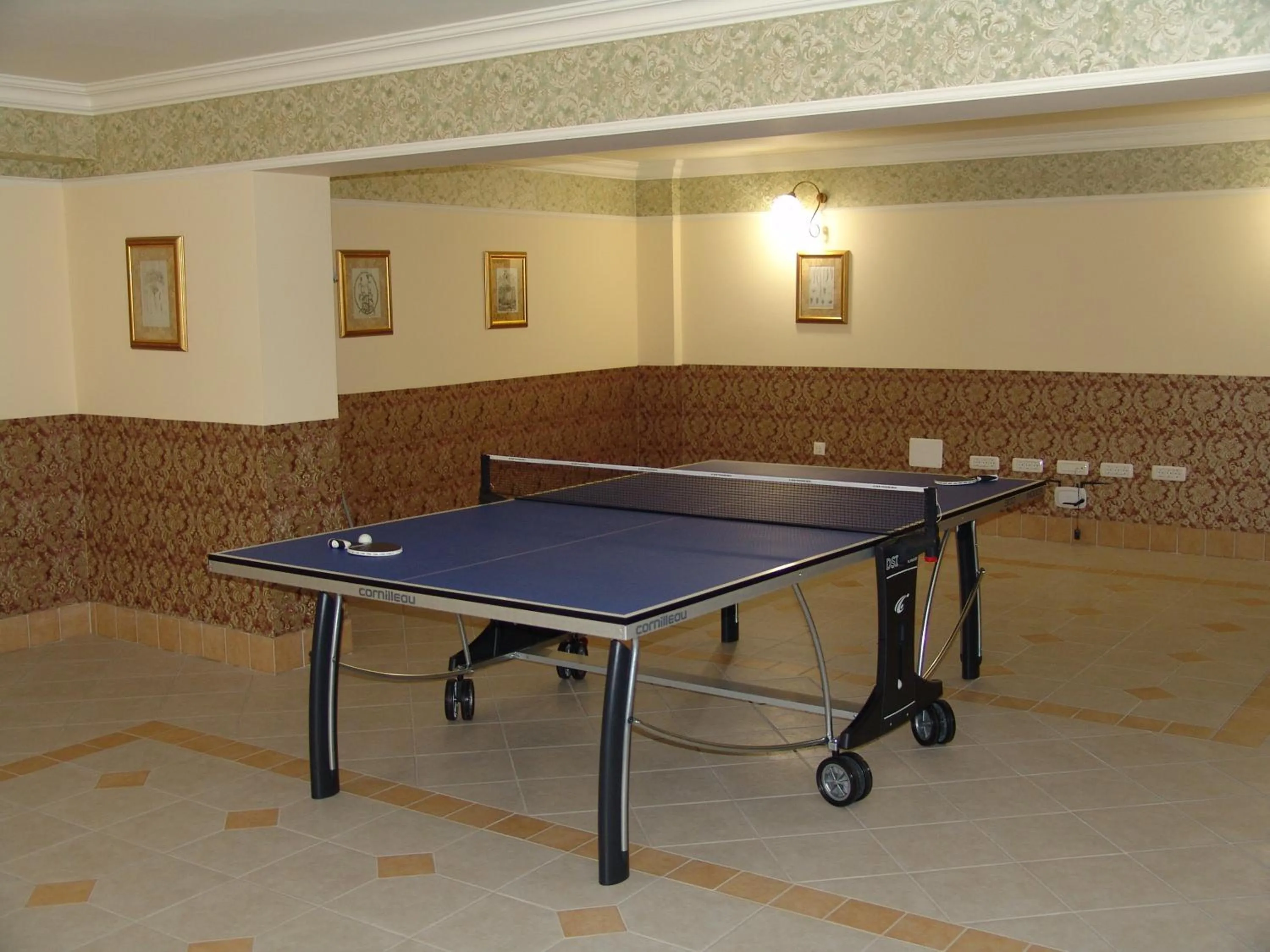 Table tennis in Pension Noblesse