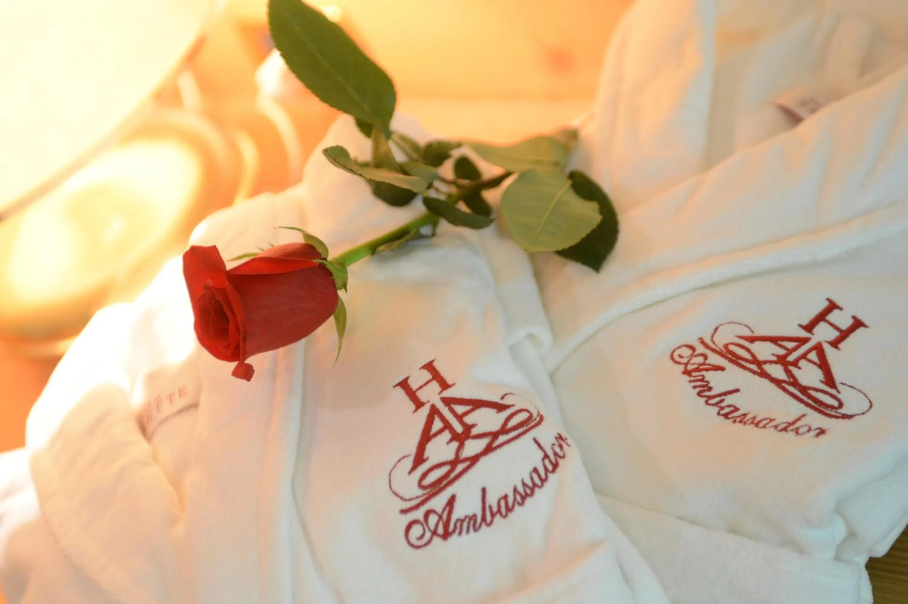 Decorative detail, Bed in Hotel Ambassador