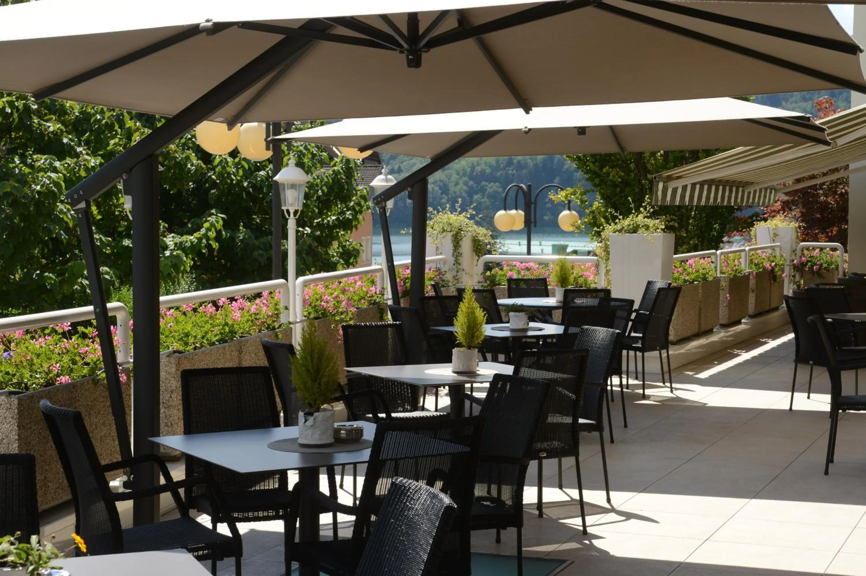 Balcony/Terrace in Hotel Ambassador