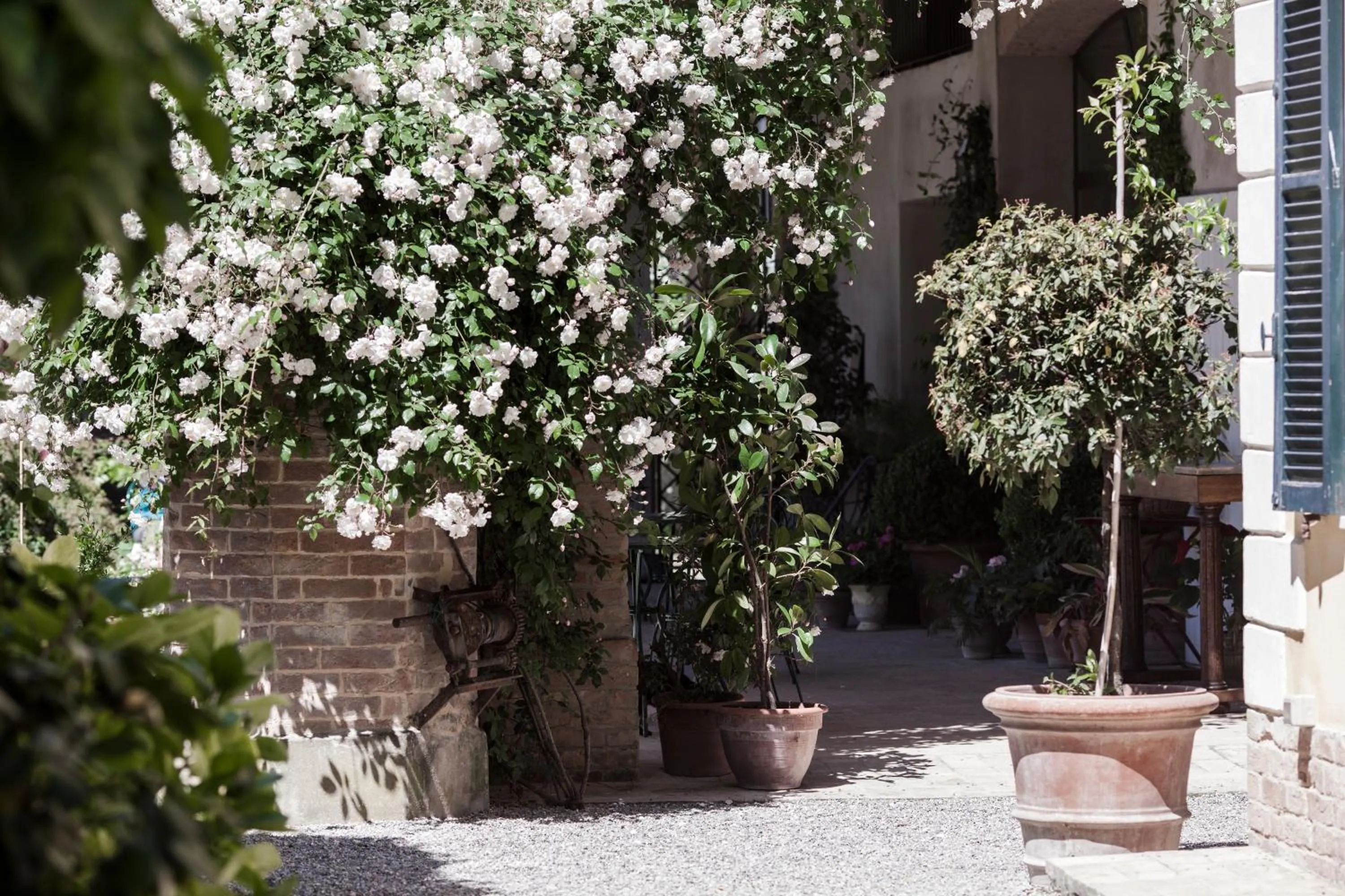 Garden in Villino di Porporano