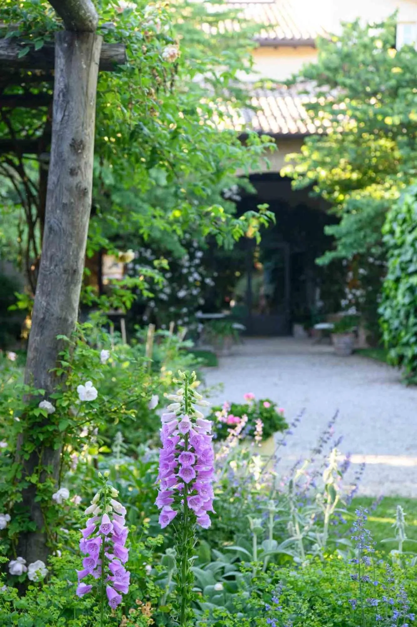 Garden in Villino di Porporano