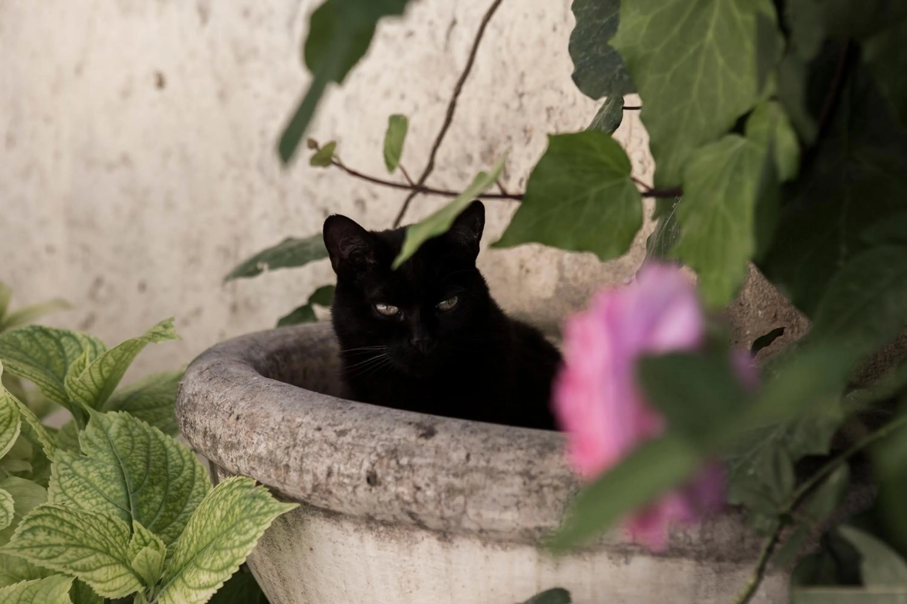 Decorative detail in Villino di Porporano