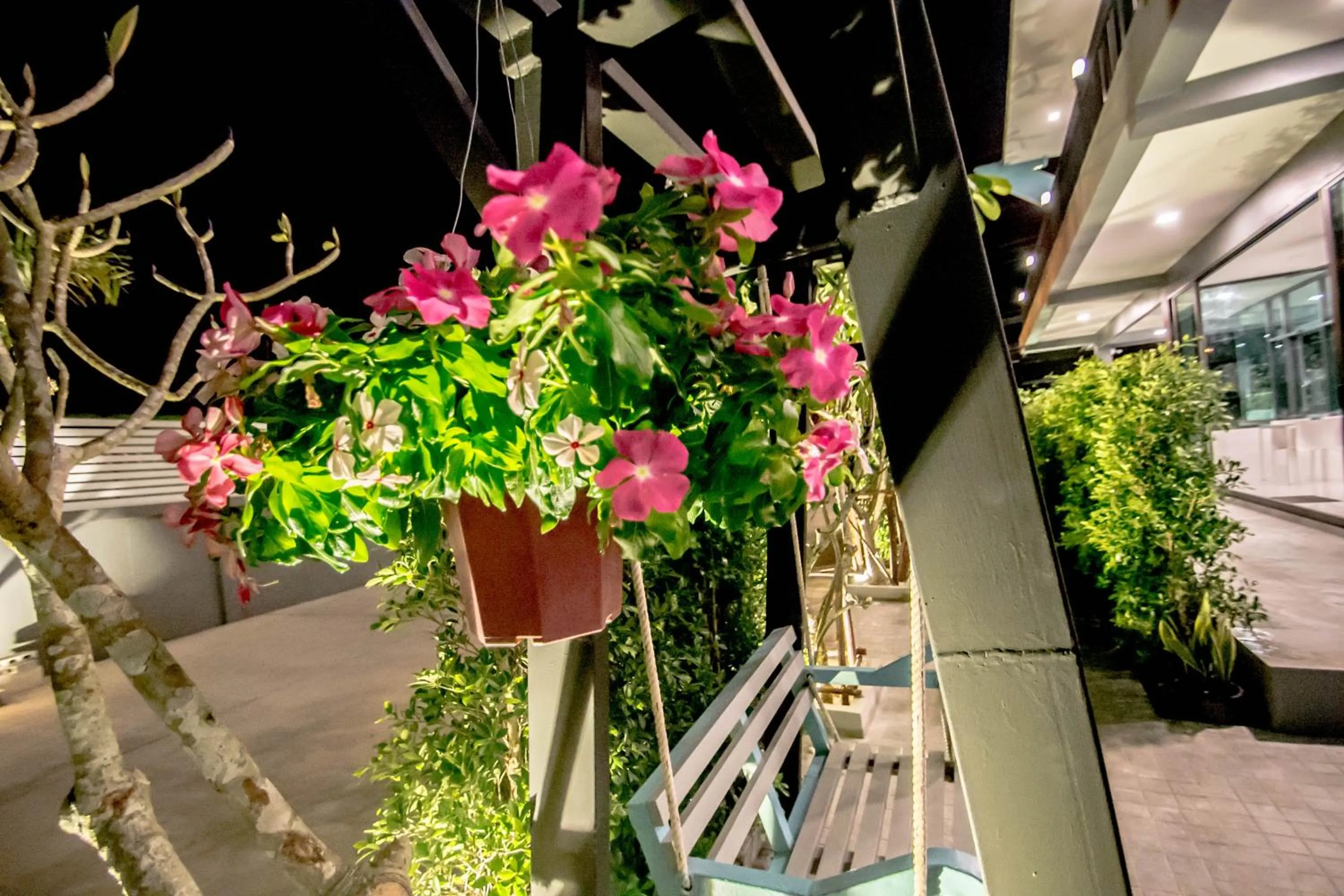 Natural landscape in Baan Yamoo Ranong