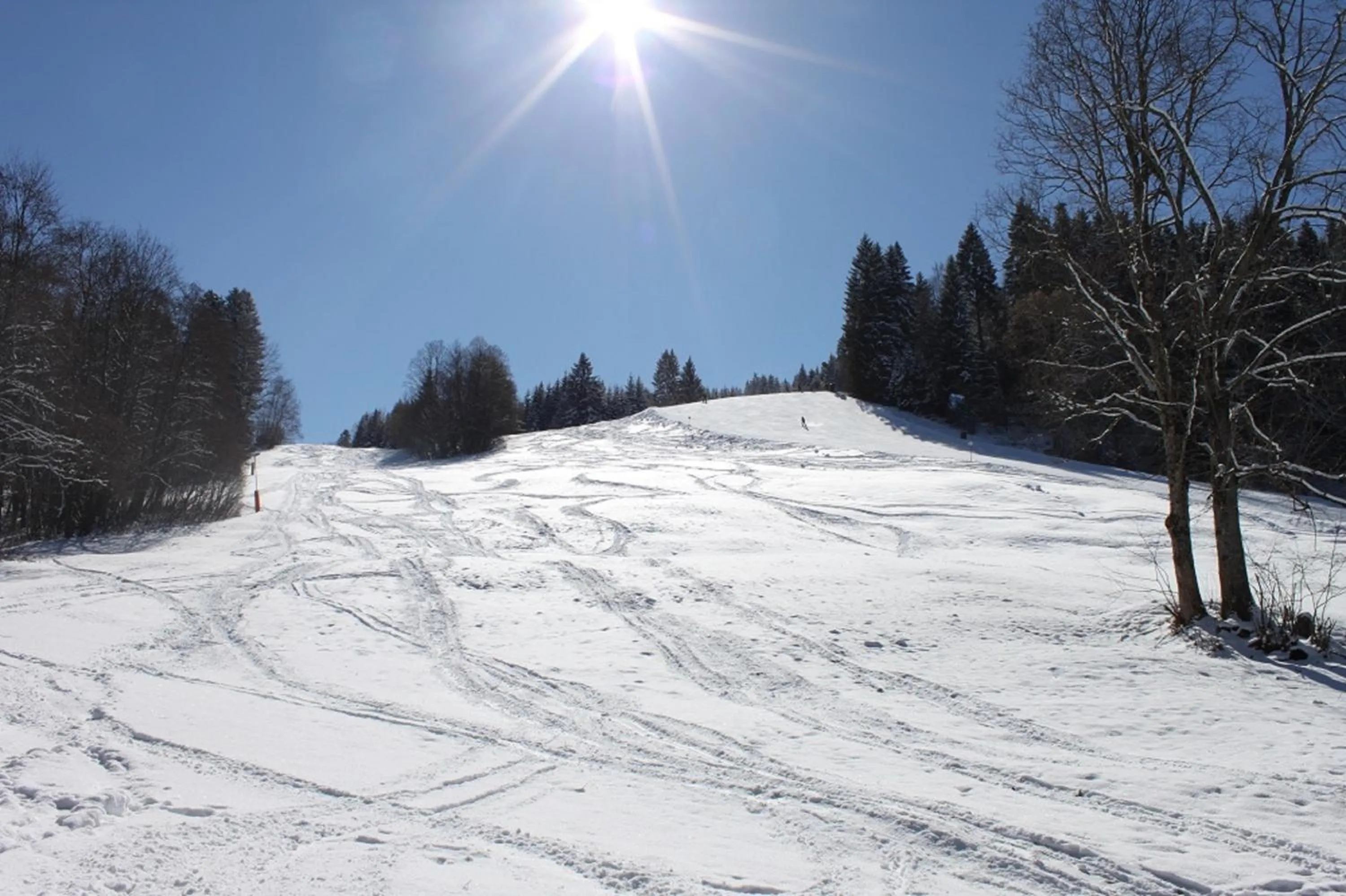 Skiing in Gästehaus Alpvital