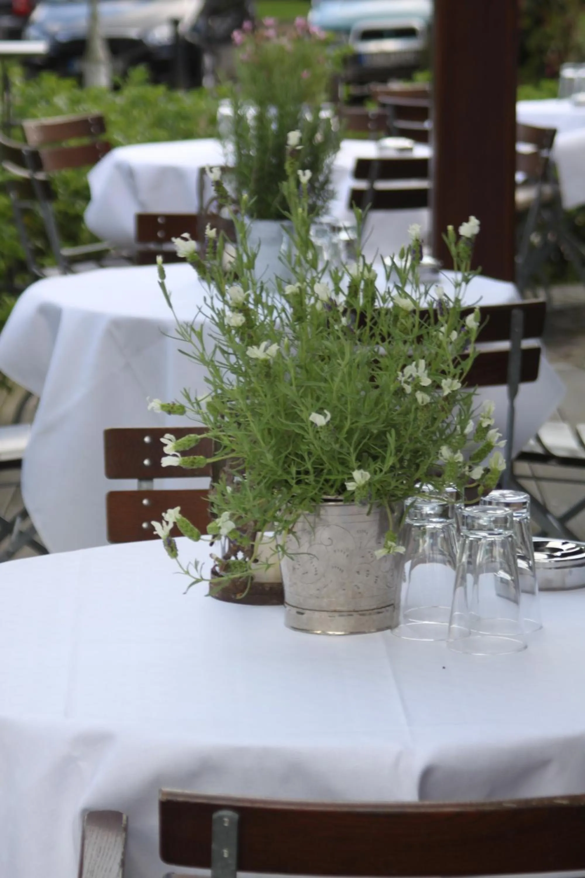 Garden in Hotel Alster Au