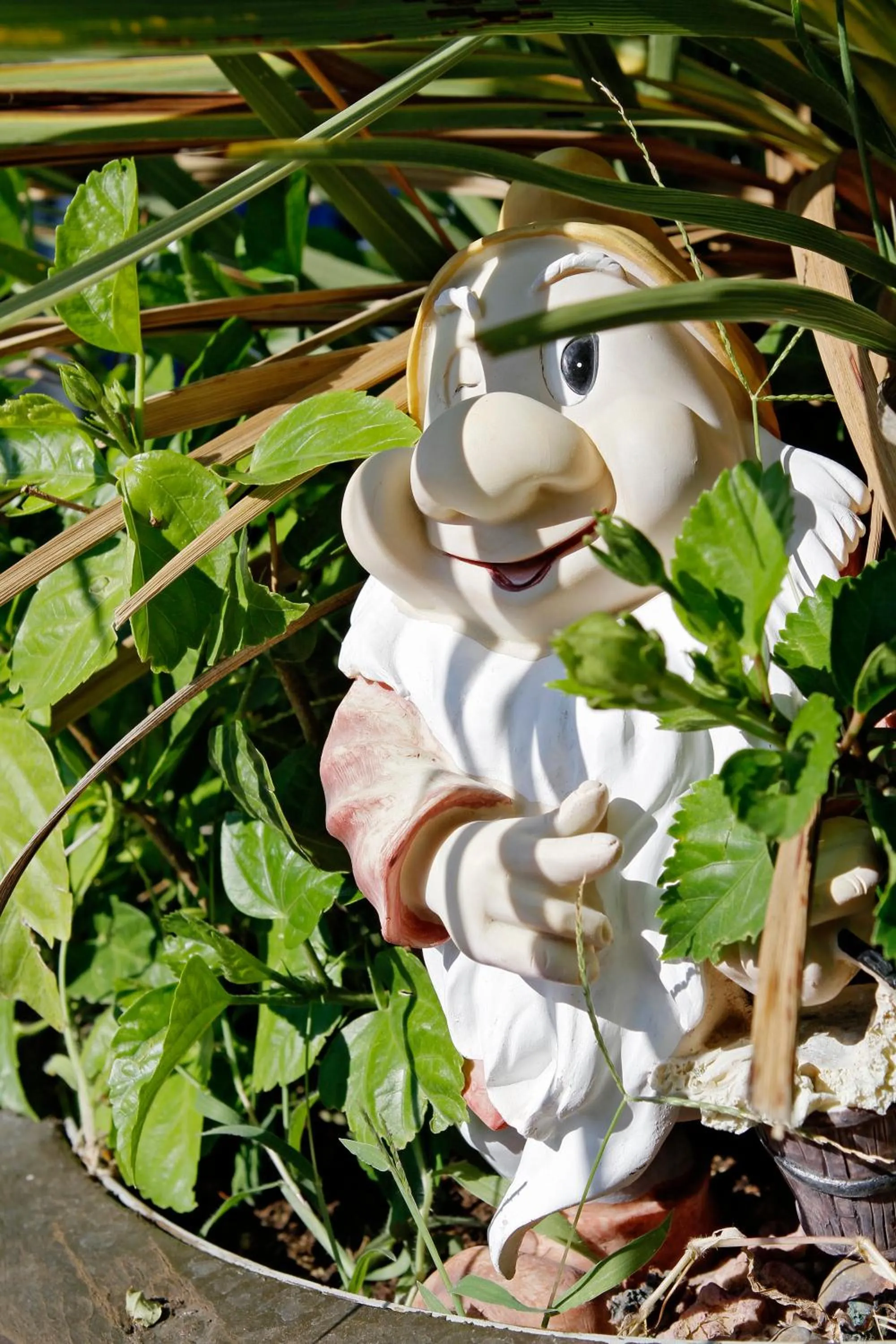 Other in Hotel Flora