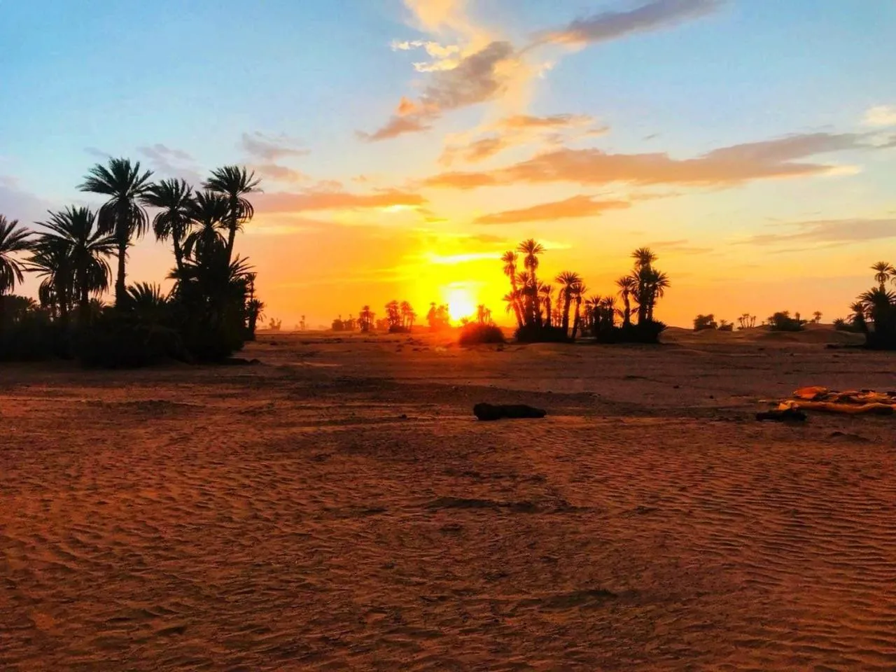 Budget Double Room in Camp Desert Stars