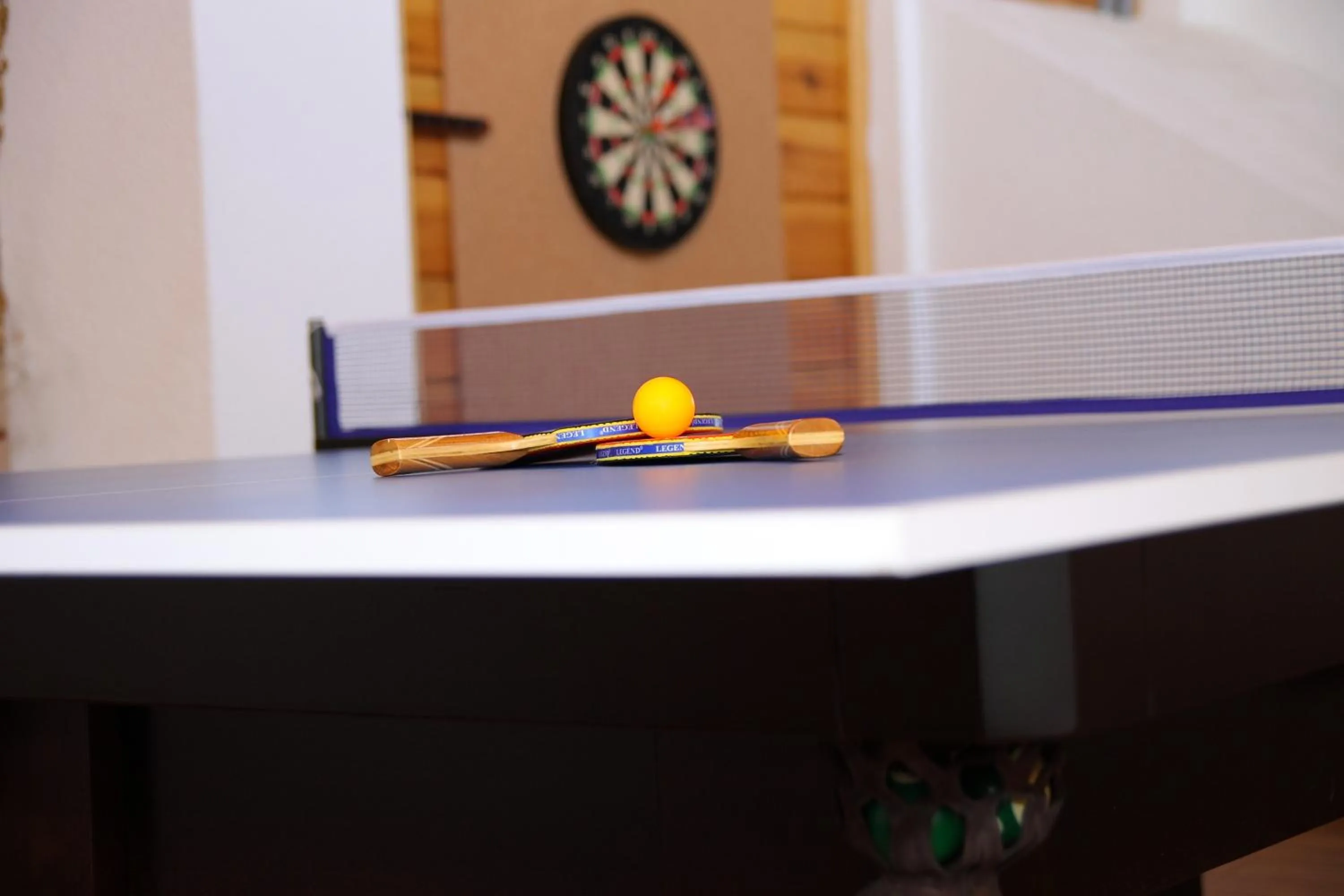 Activities in Siedlisko Leszczewek