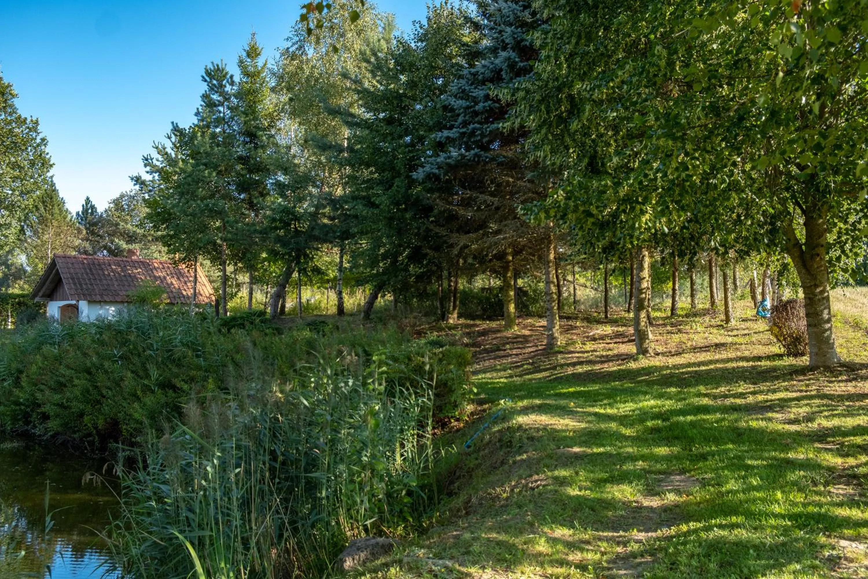 Siedlisko Leszczewek