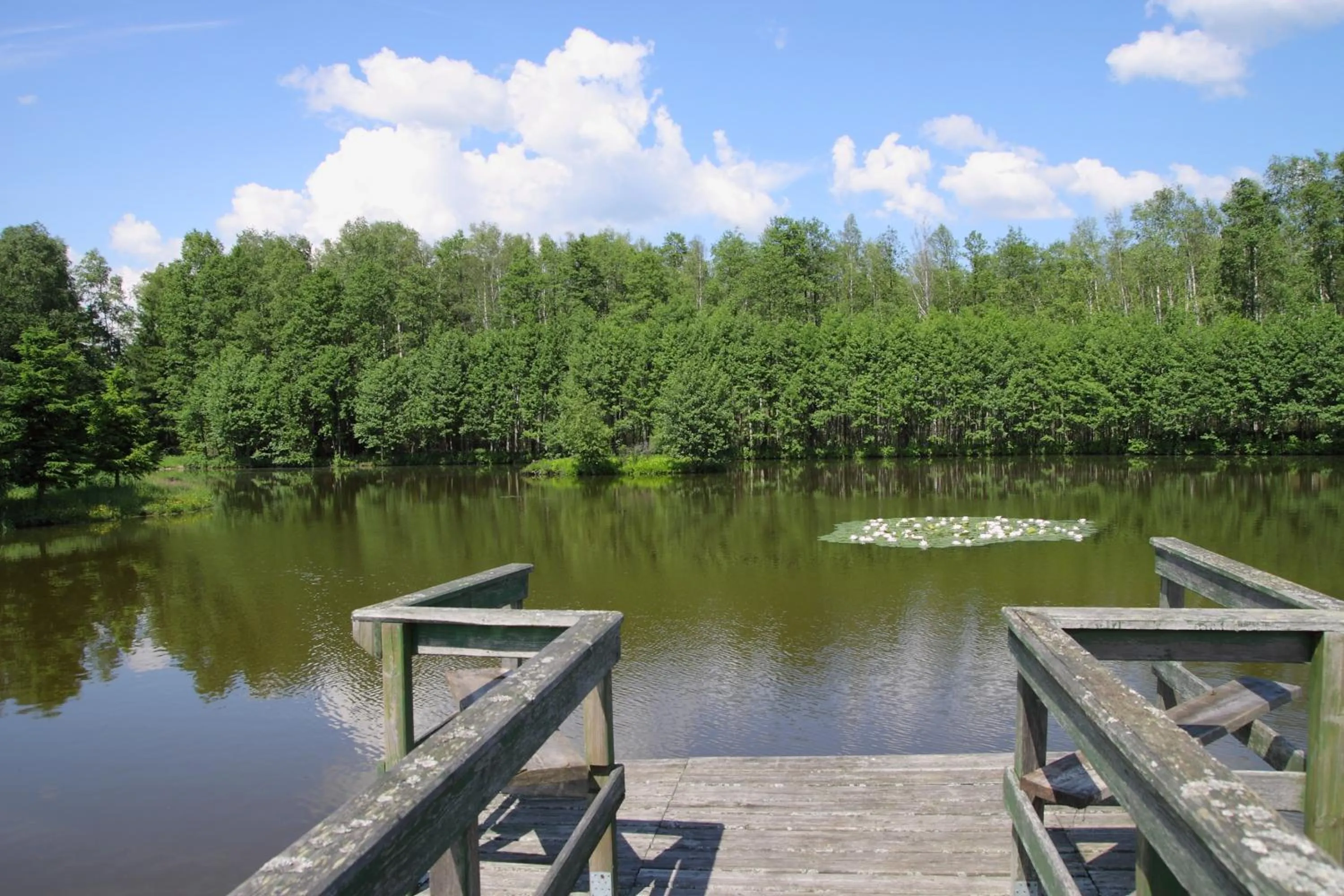 Natural landscape in Siedlisko Leszczewek