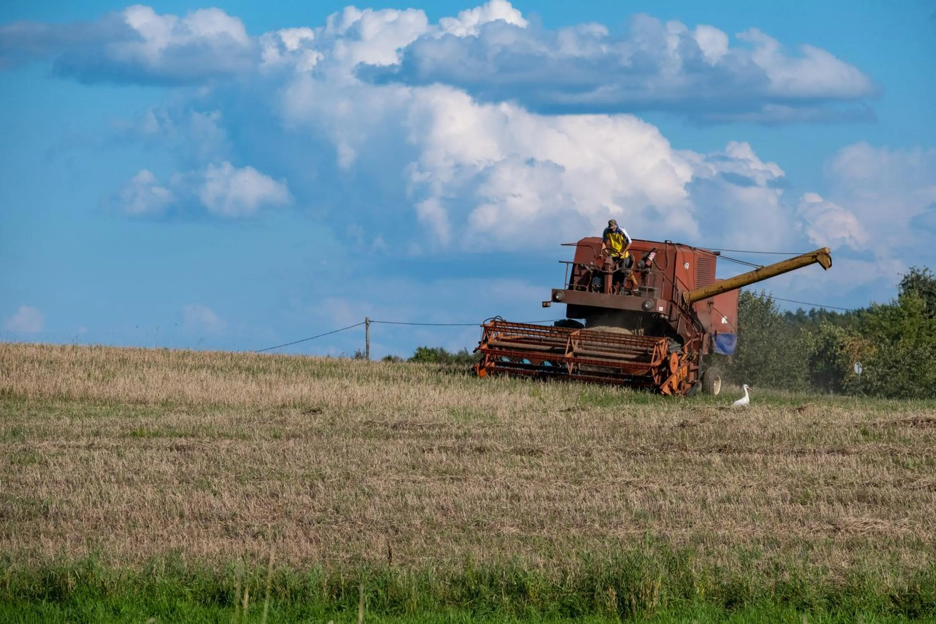 Siedlisko Leszczewek