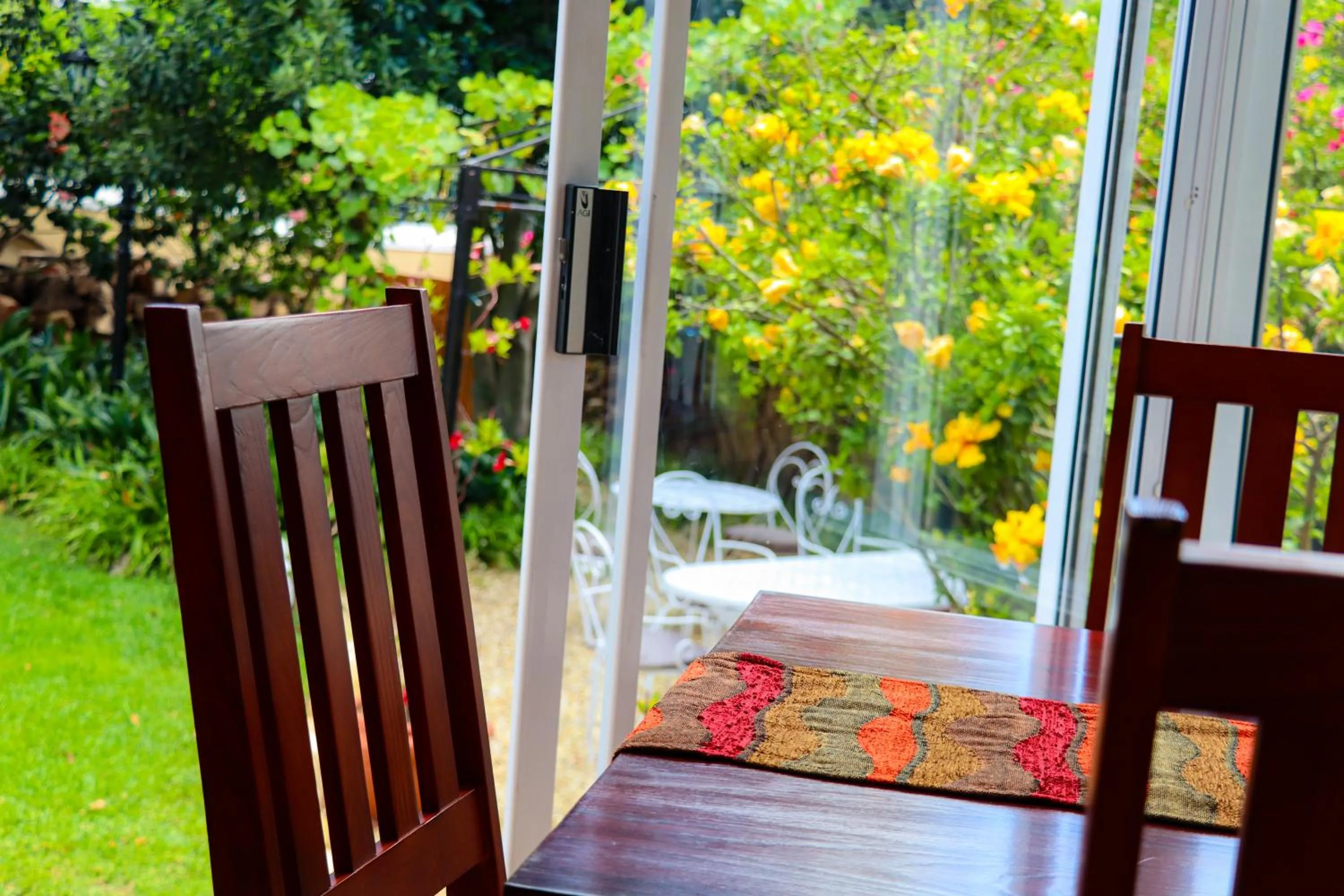 Garden in Carmichael House Boutique Hotel