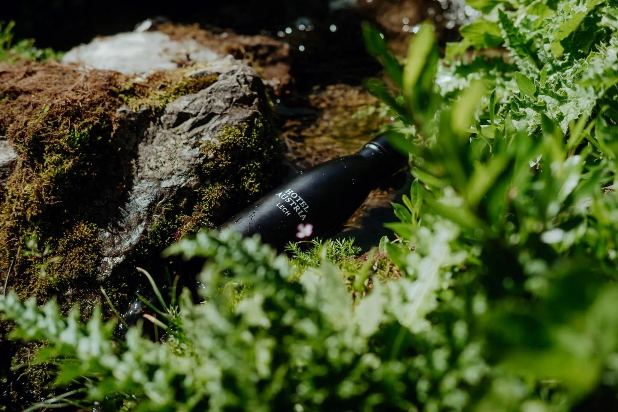 Natural landscape in Hotel Austria