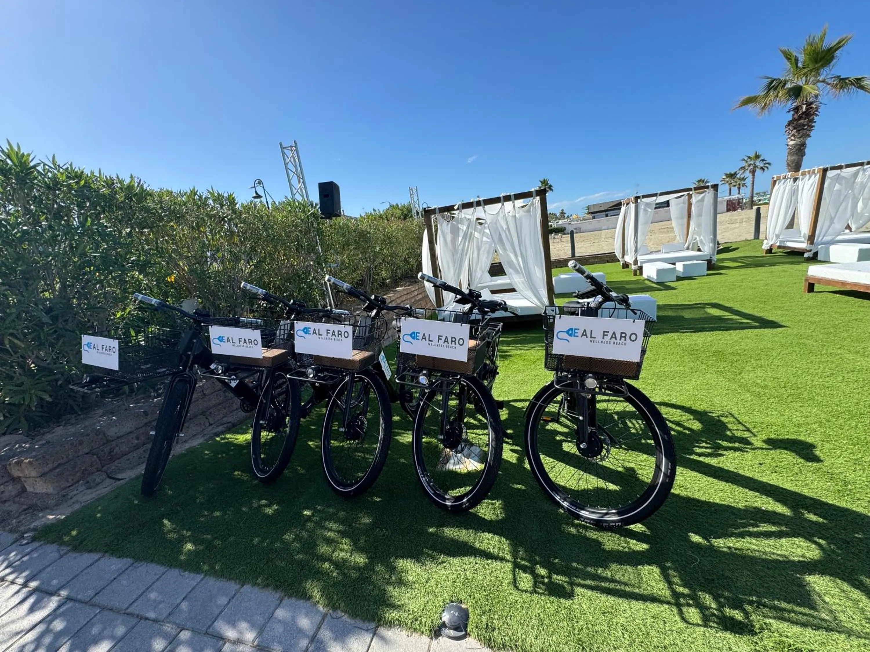 Beach in Hotel La Pergola