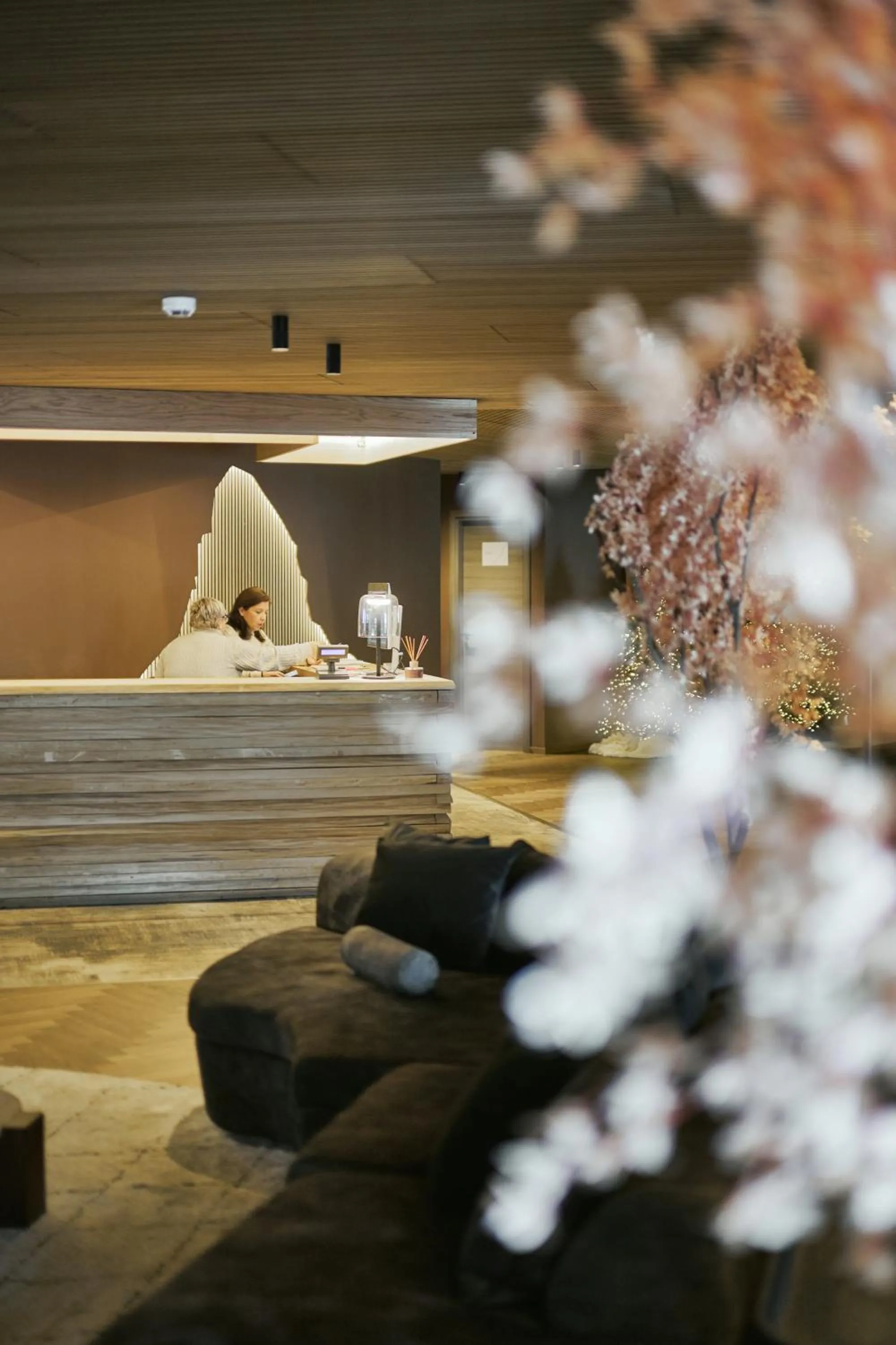 Property building in Hotel Europa