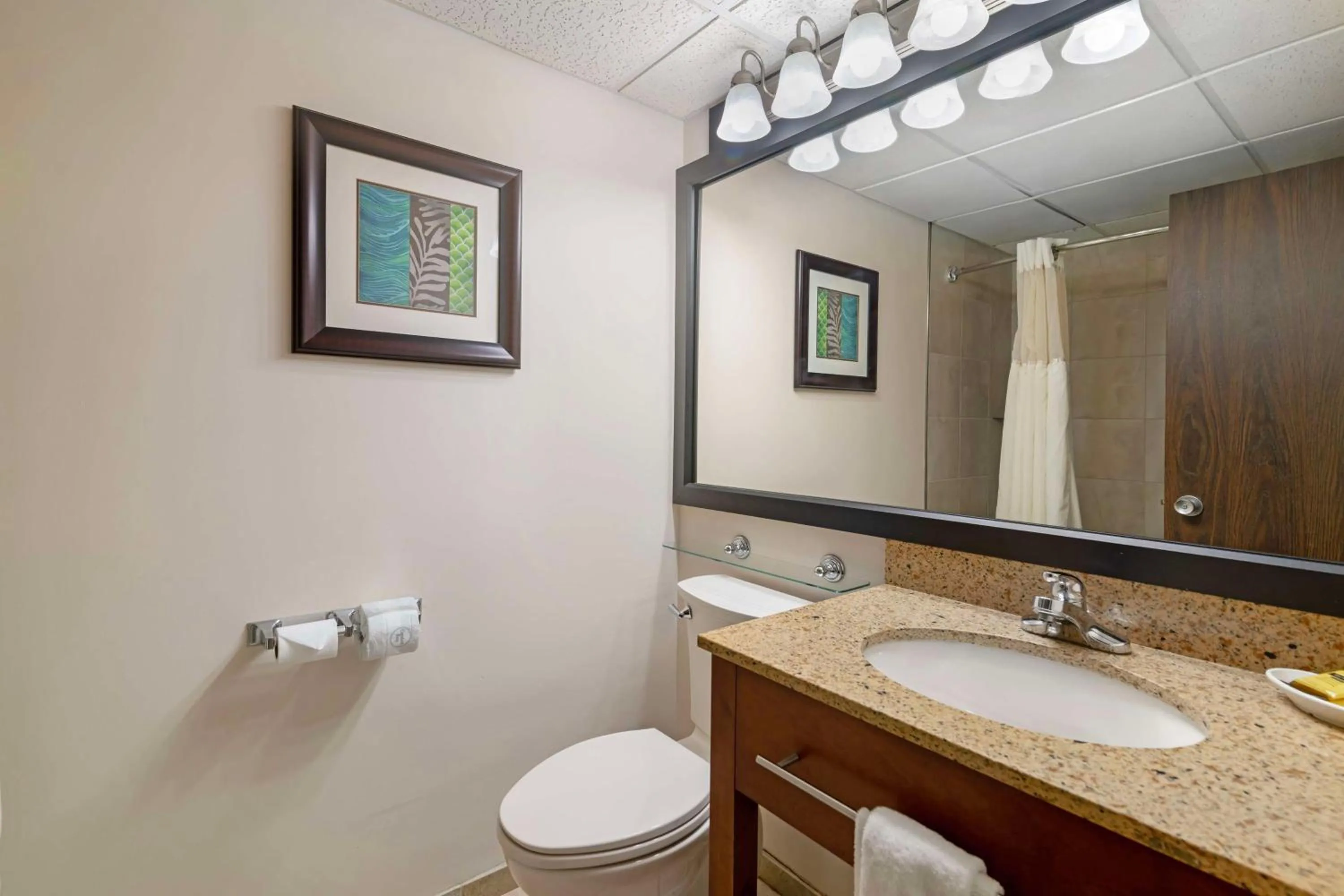 Bathroom in Best Western Plus Plattsburgh