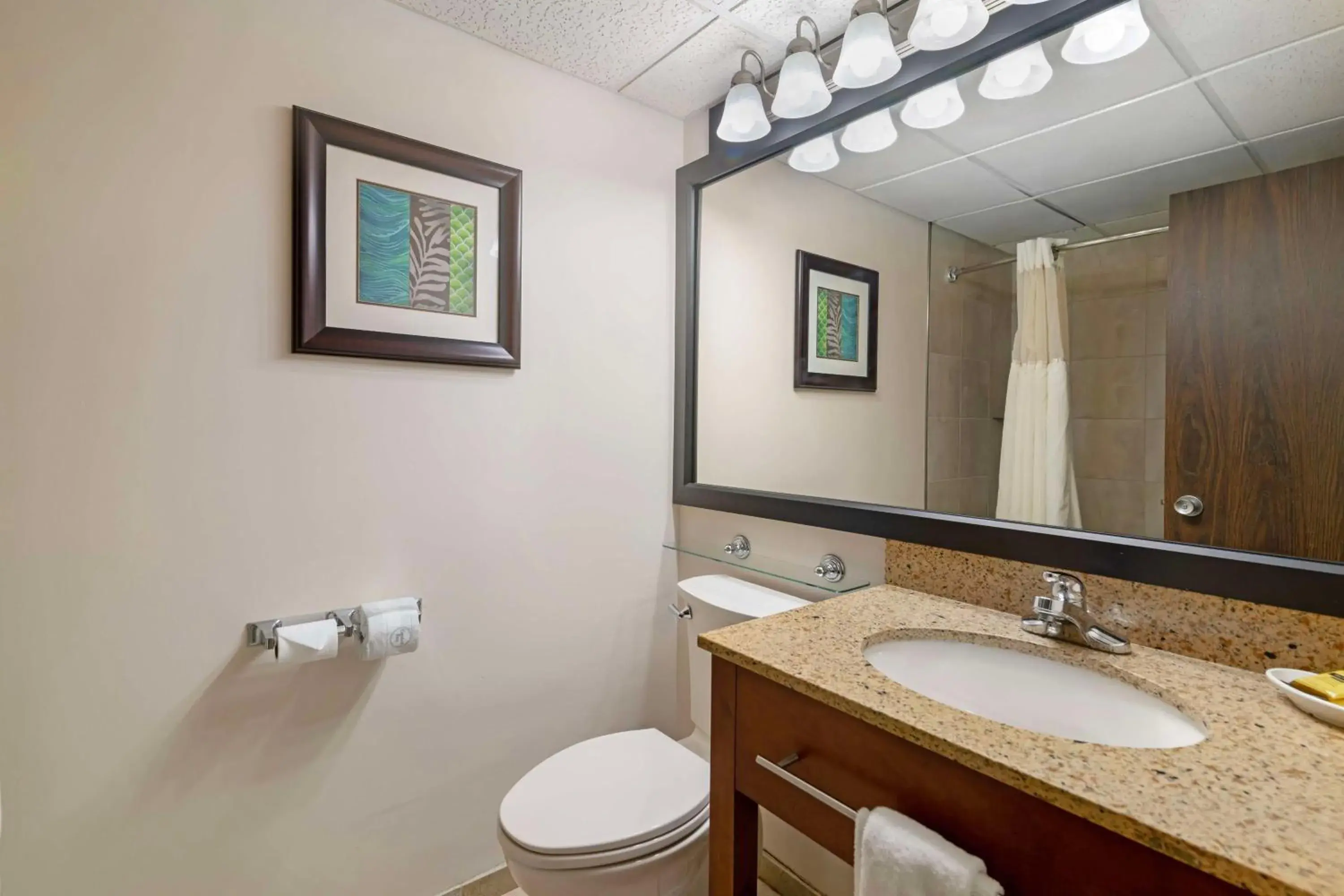 Bathroom in Best Western Plus Plattsburgh Bathroom in Best Western Plus Plattsburgh
