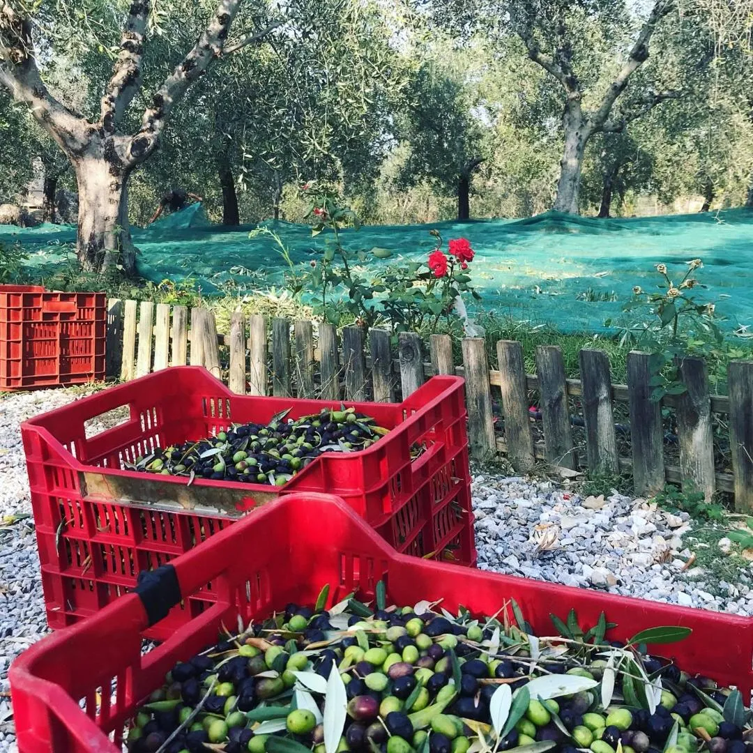 Activities in RTA Costa Etrusca