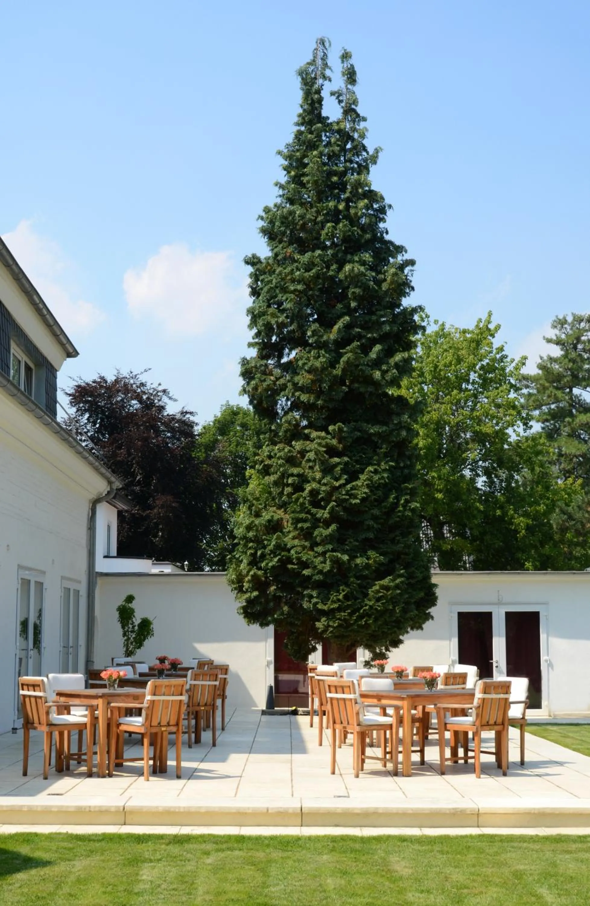 Garden in Hotel Destination 21