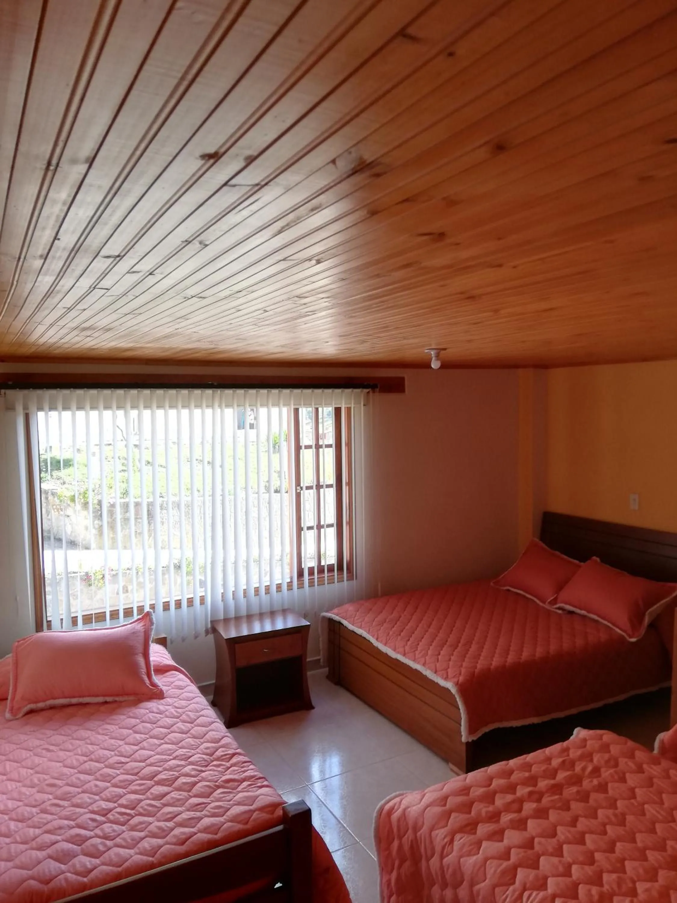 Photo of the whole room, Bed in Hotel El Cangrejo