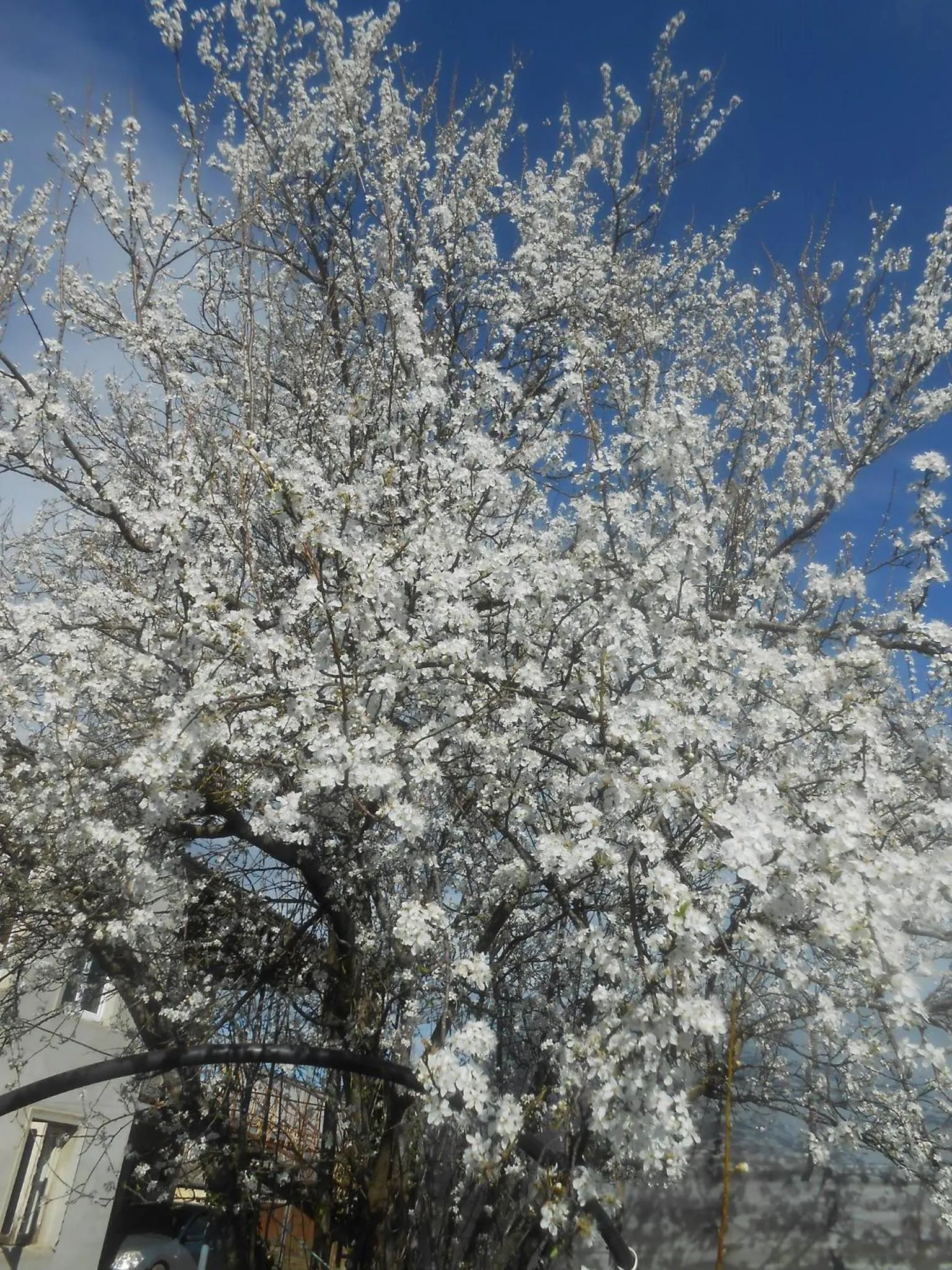 Spring in G&M