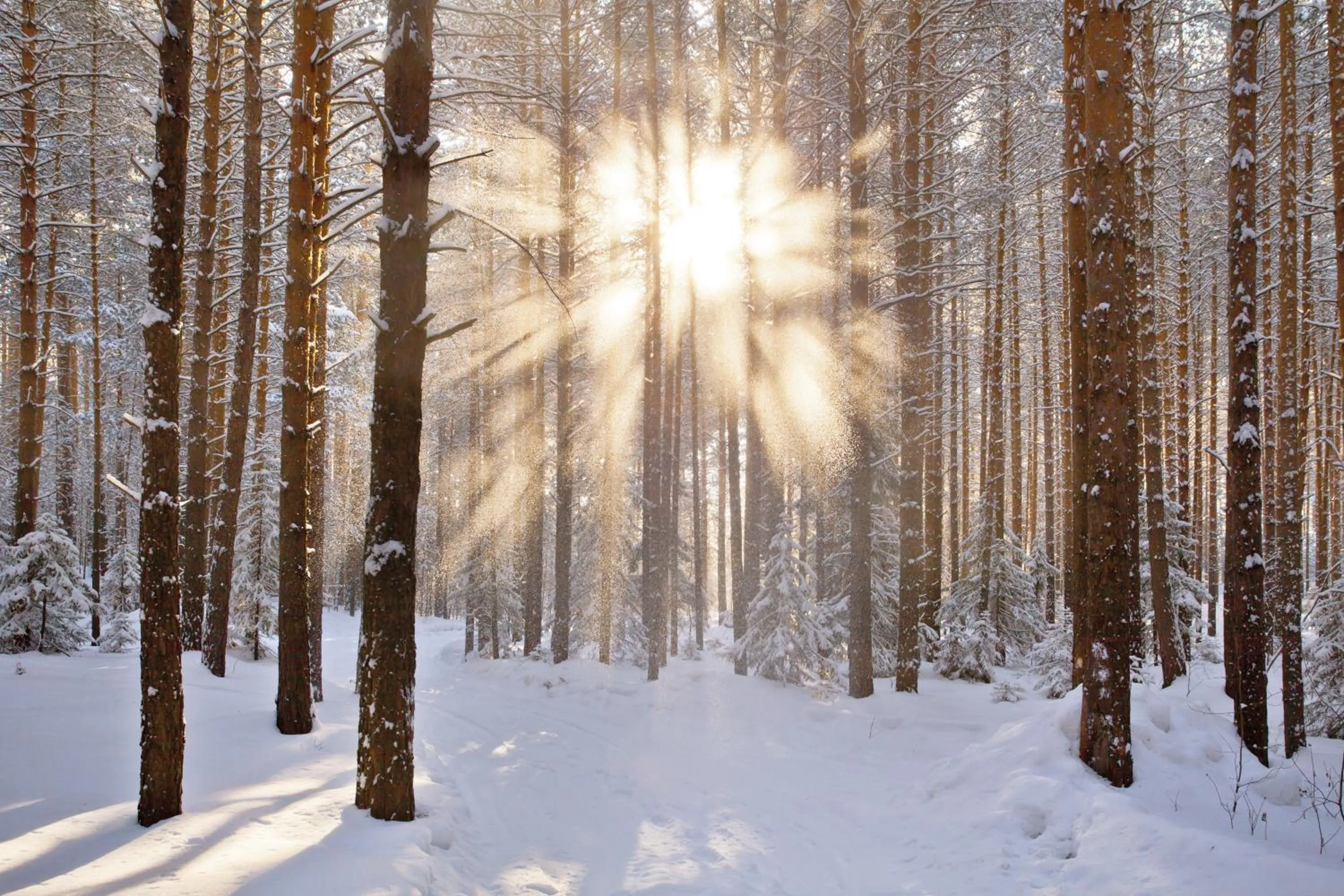 Winter in Kaisers Tanne - Premium Alles Inklusive Hotel