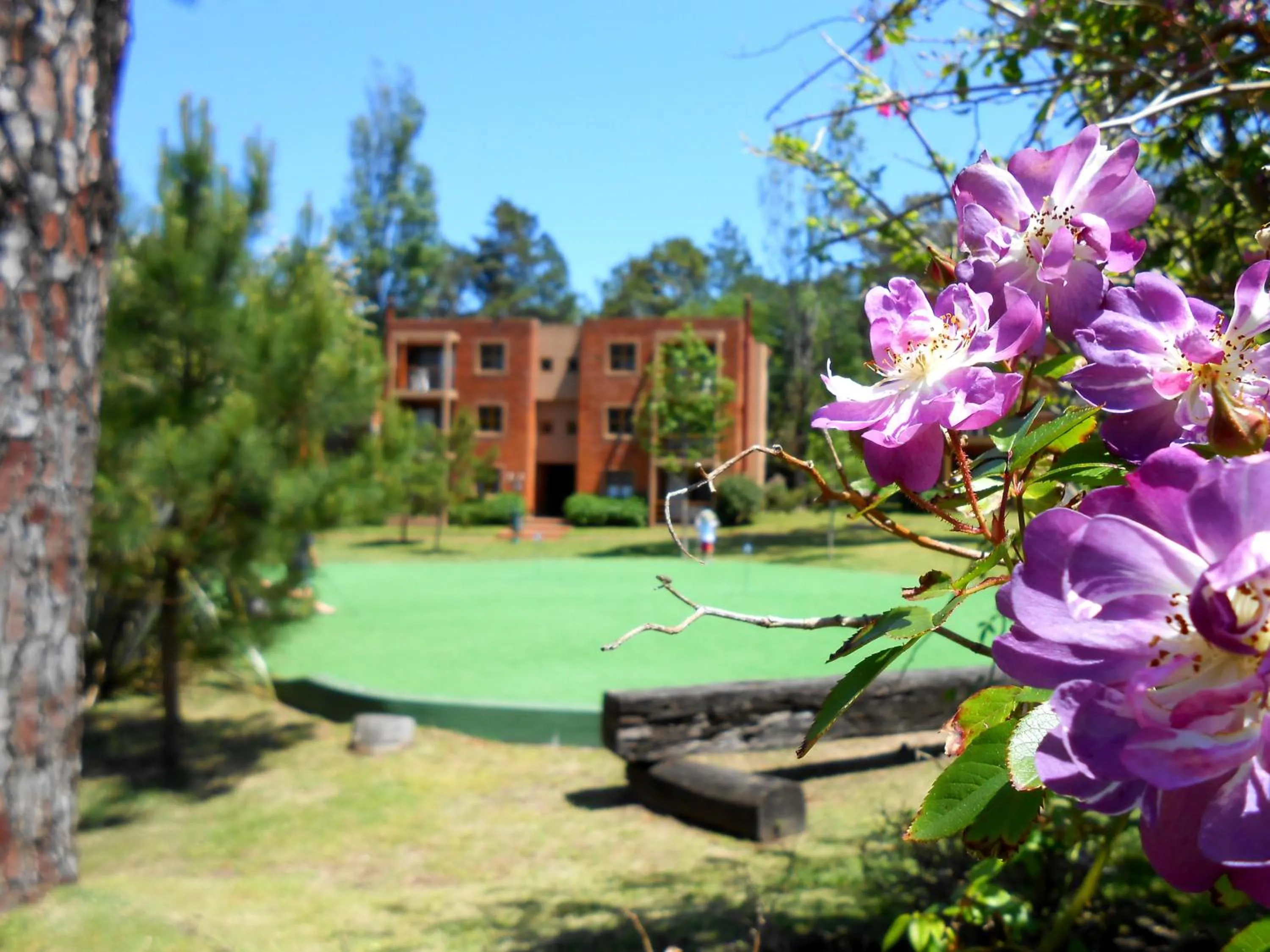 Garden in Rincon del Este Resort