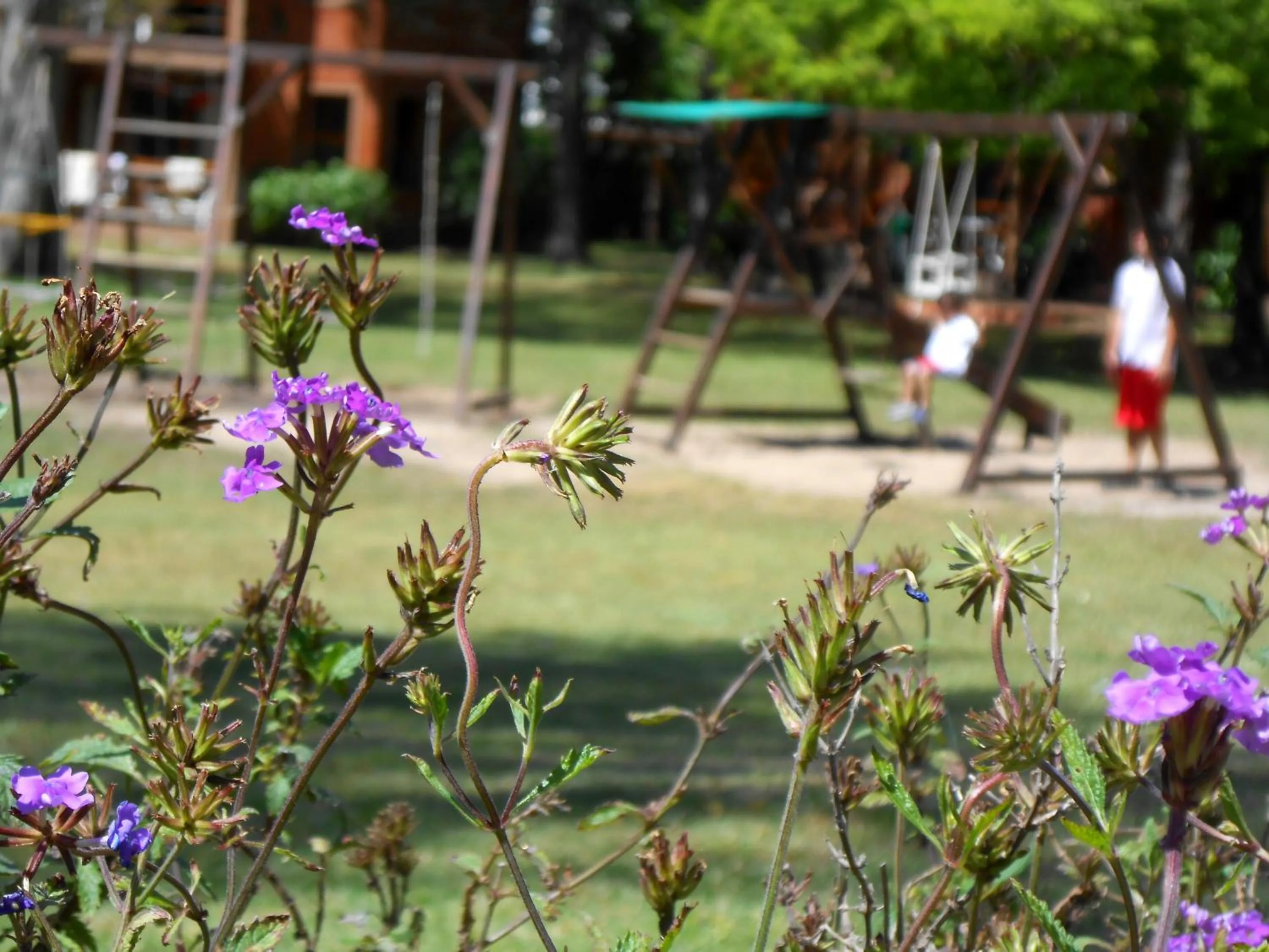 Garden in Rincon del Este Resort