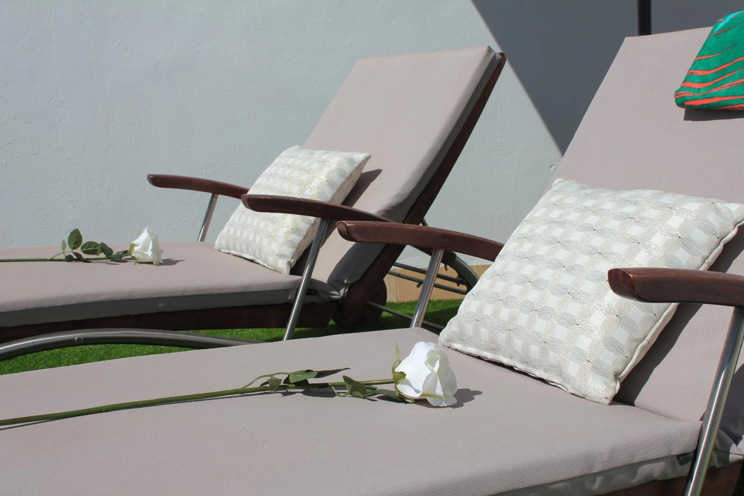 Garden in Panther Home Luxury Dreams Sevilla