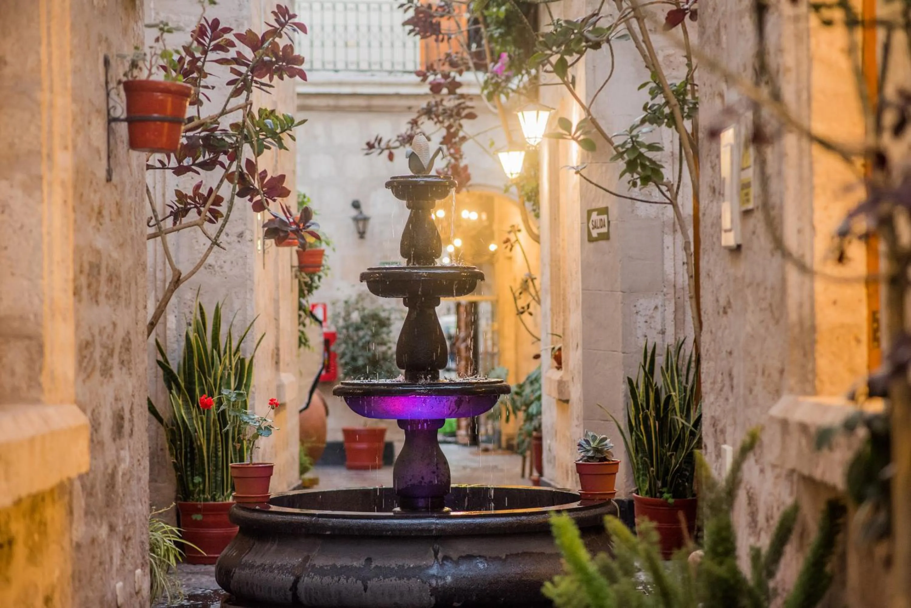 Patio in Majestad Hotel Boutique