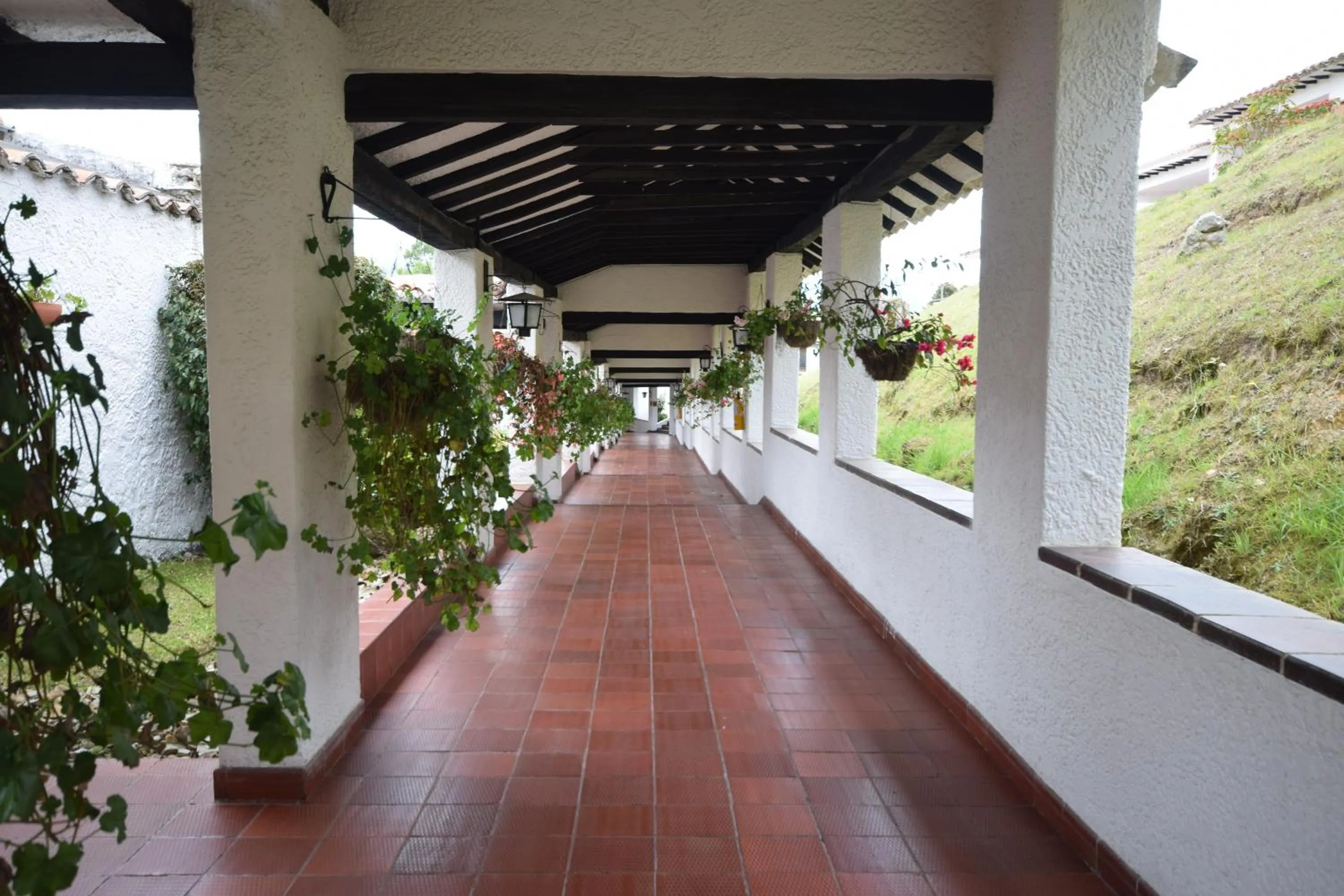 Balcony/Terrace in D'Acosta Hotel Sochagota